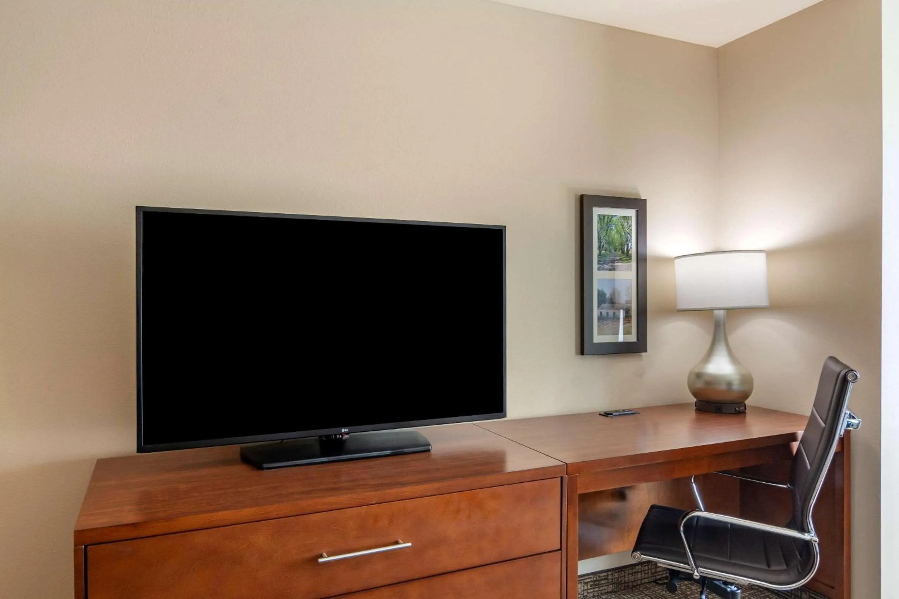 TV and multimedia in Comfort Inn & Suites Charlottesville Hollymead Town Center