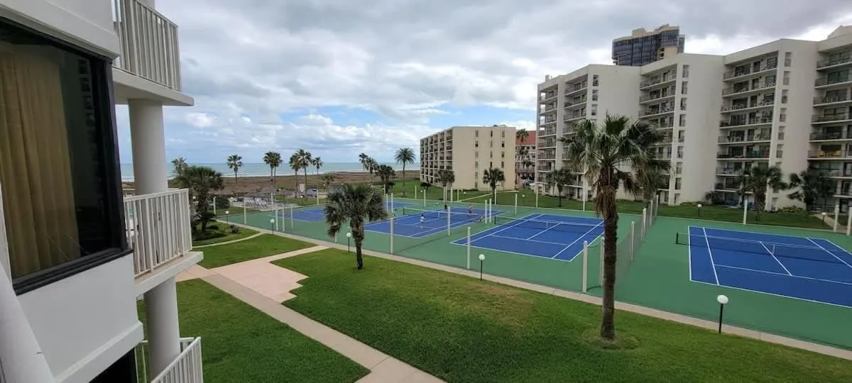 Sports in Saida Royale 9039