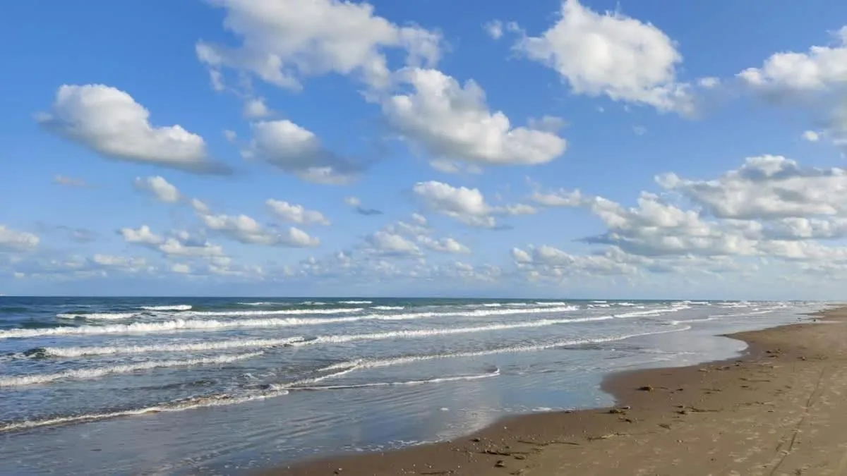 Beach in Saida Royale 9039