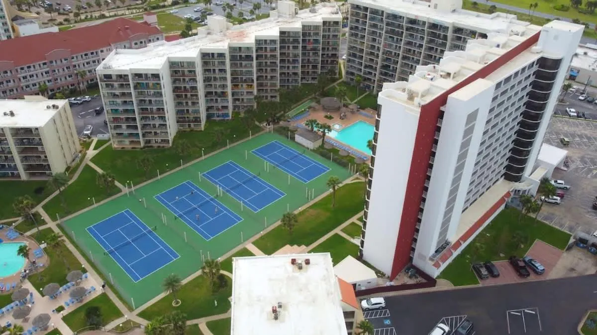 Sports in Saida Royale 9039