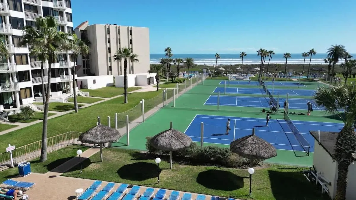 Sports in Saida Royale 9039