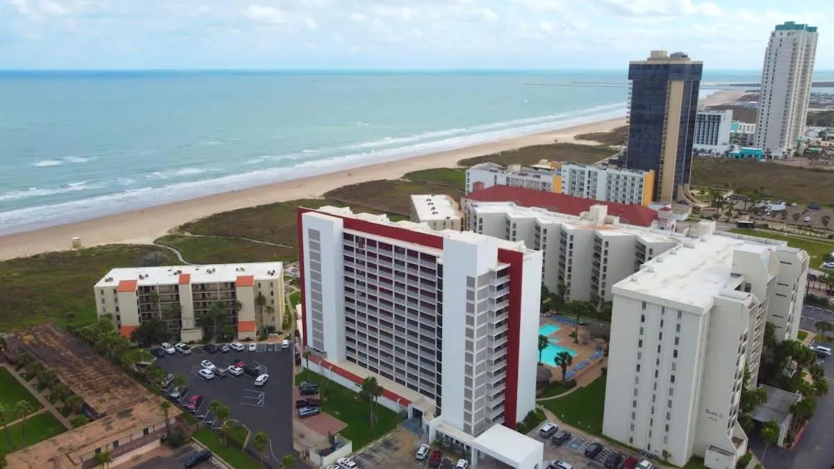 Other in Saida Royale 9039