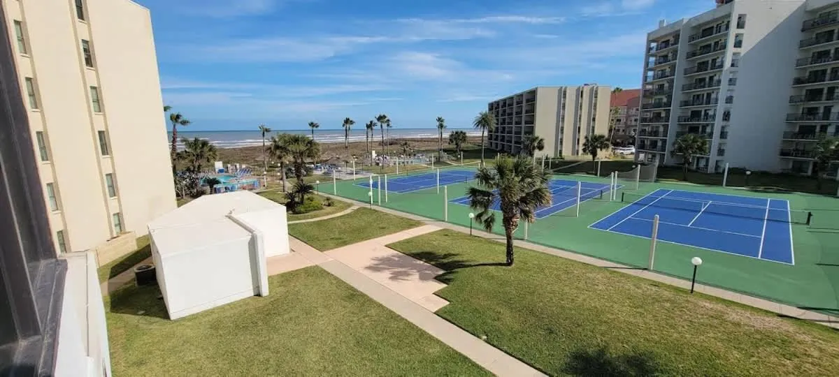 Sports in Saida Royale 9039