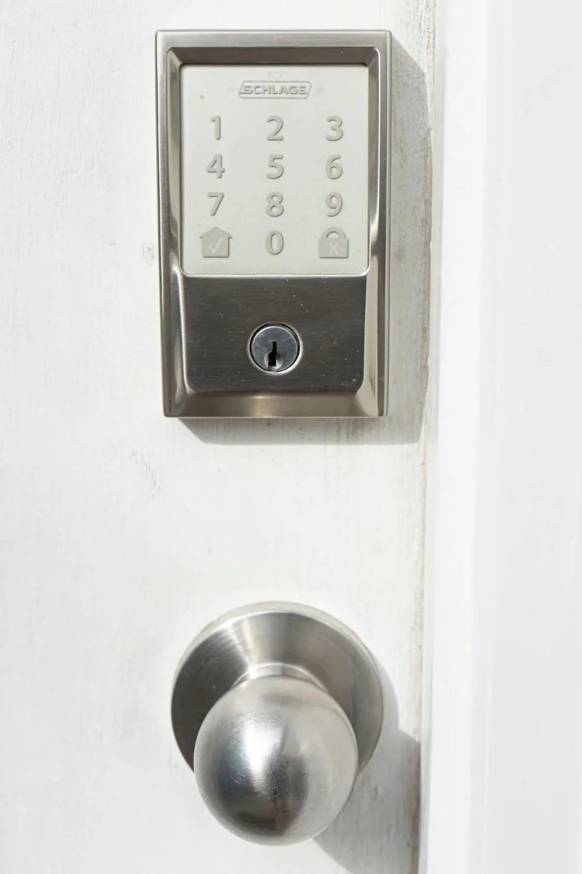 Other in Blue Siren House