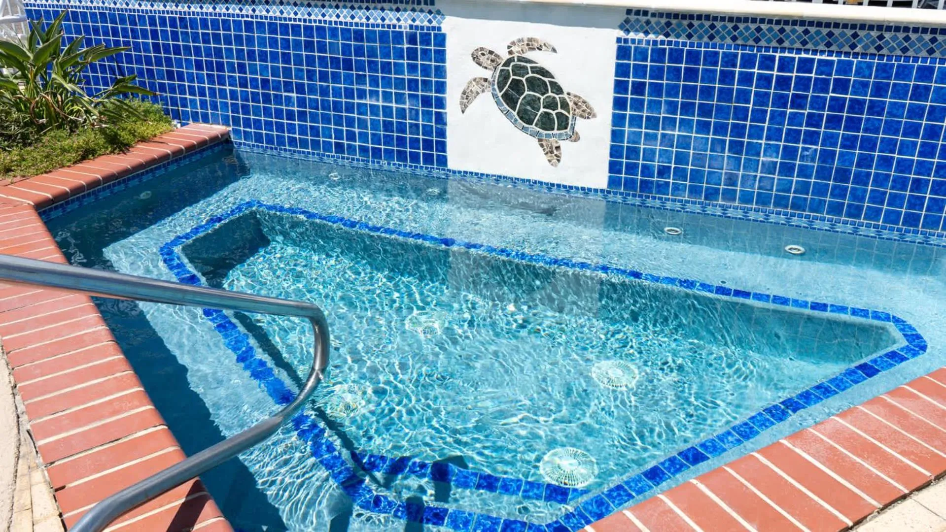 Swimming pool in La Internacional 313