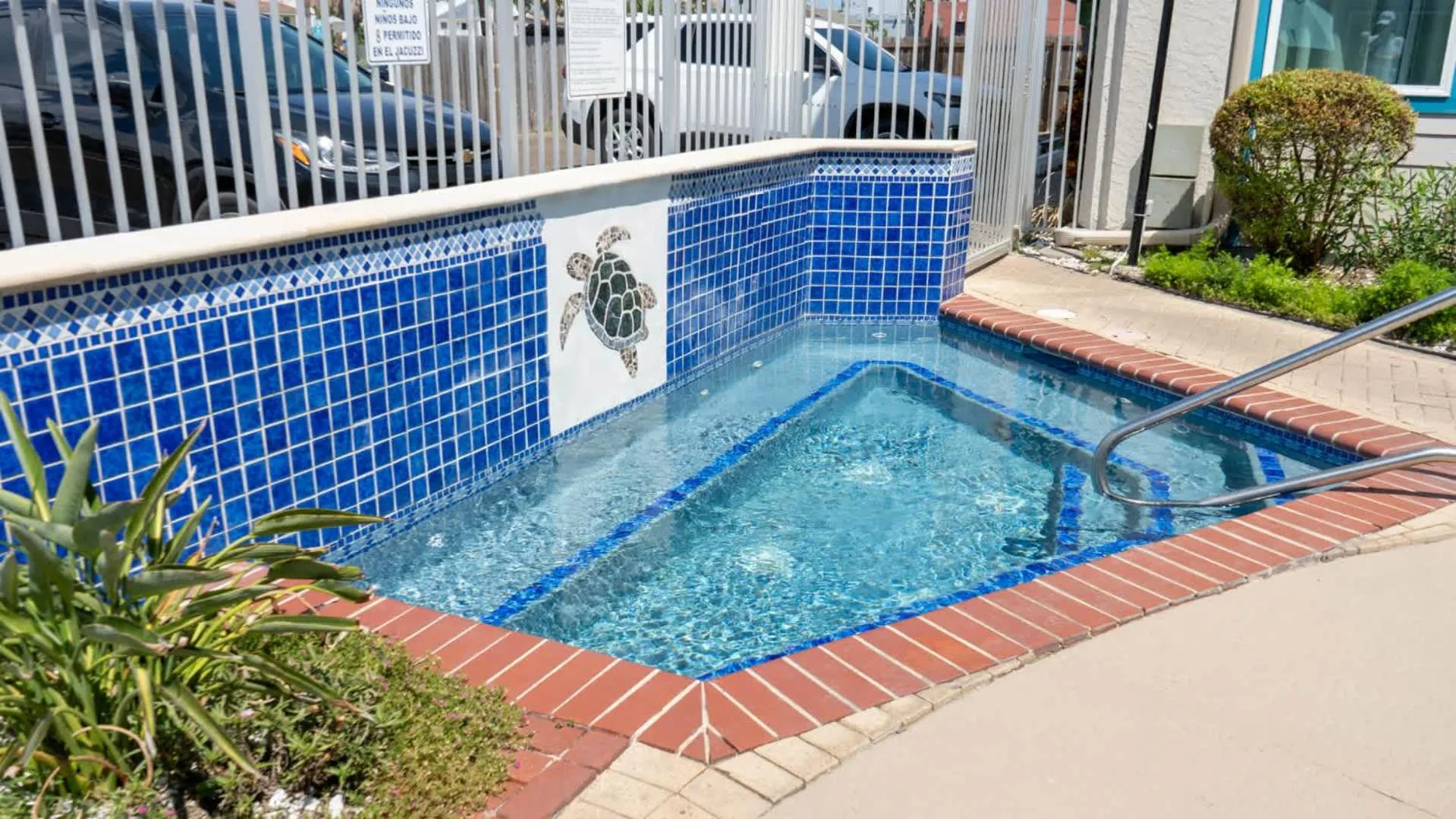 Swimming pool in La Internacional 313