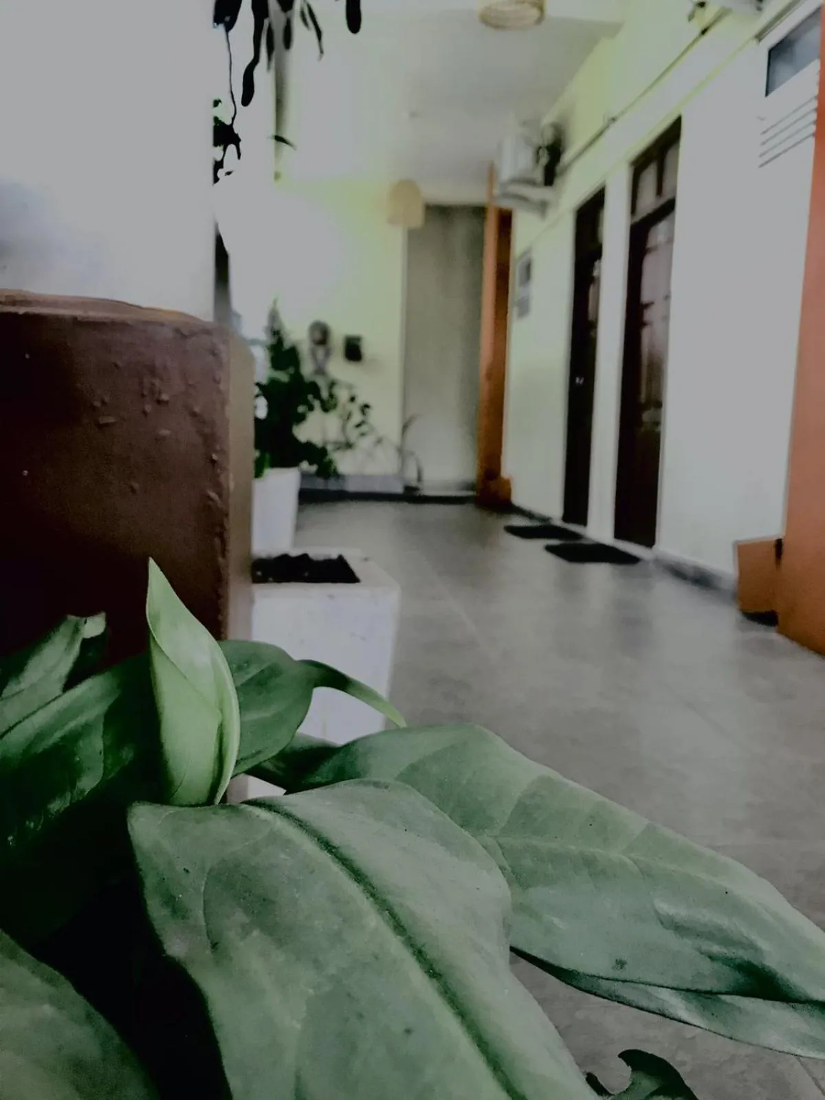 Patio in New Golden Bay Resort Weligama