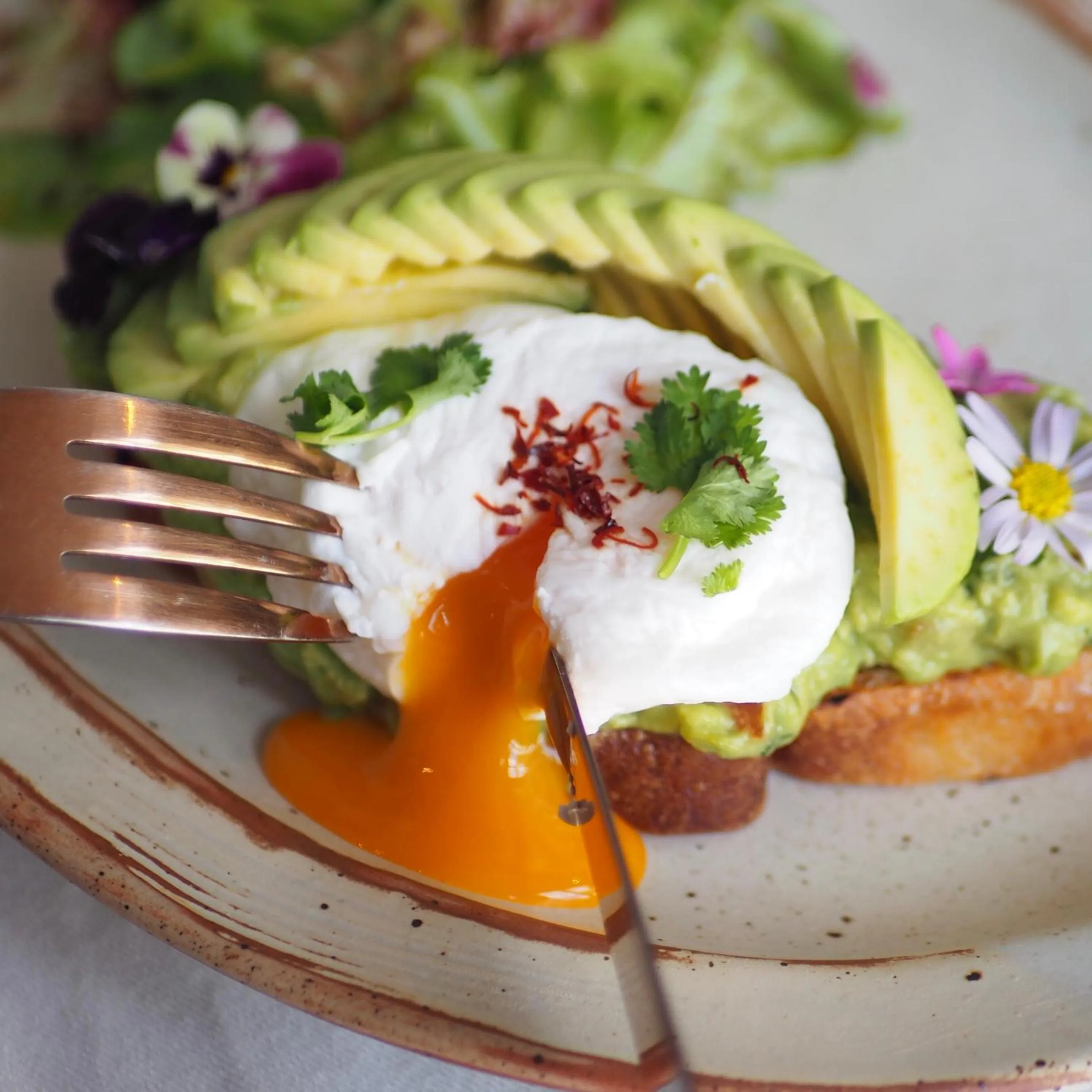 Breakfast in Goose Living