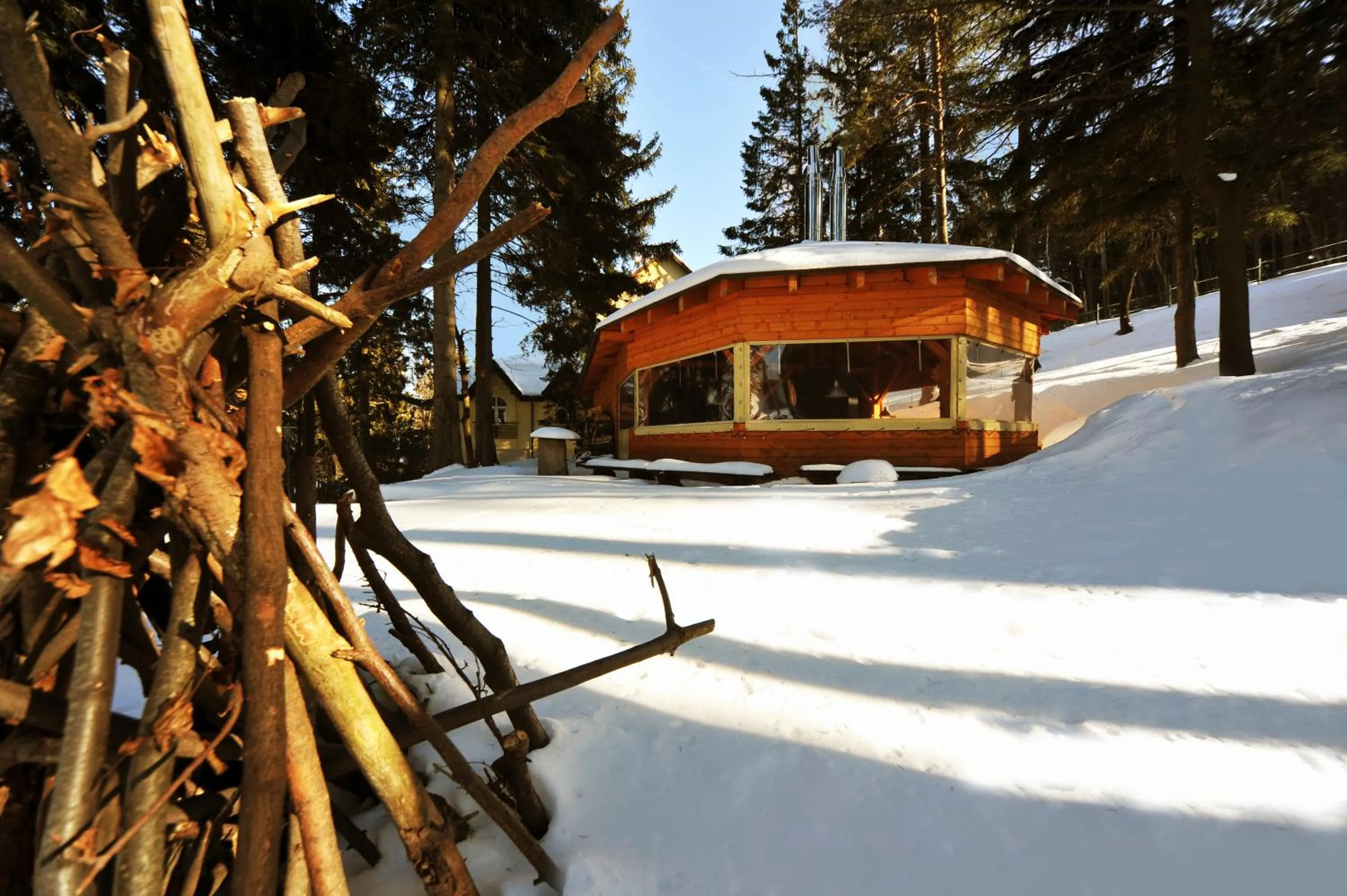 Winter in Hotel Vivaldi