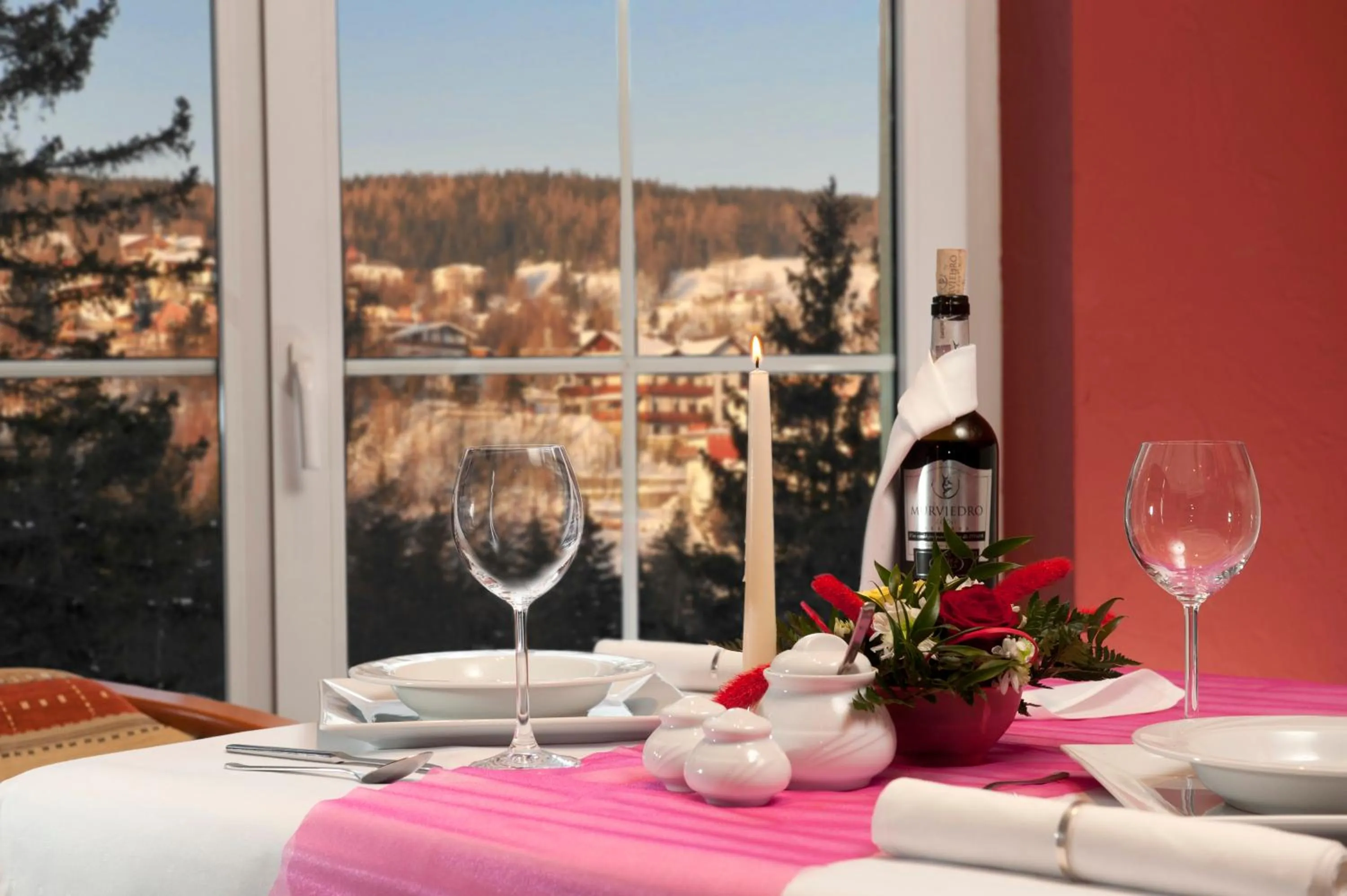 View (from property/room) in Hotel Vivaldi