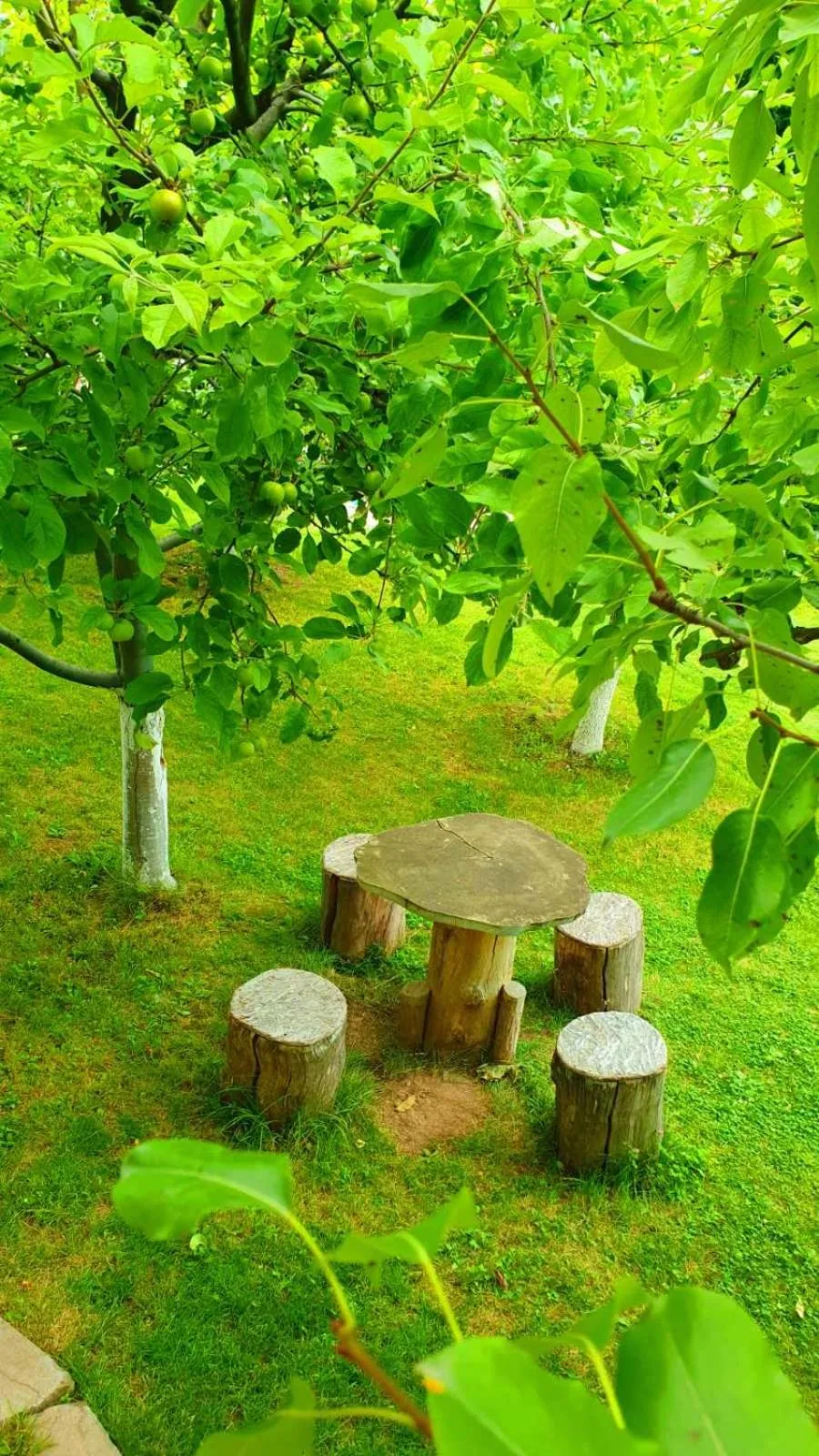 Spring in Guest House Ijevan's Garden