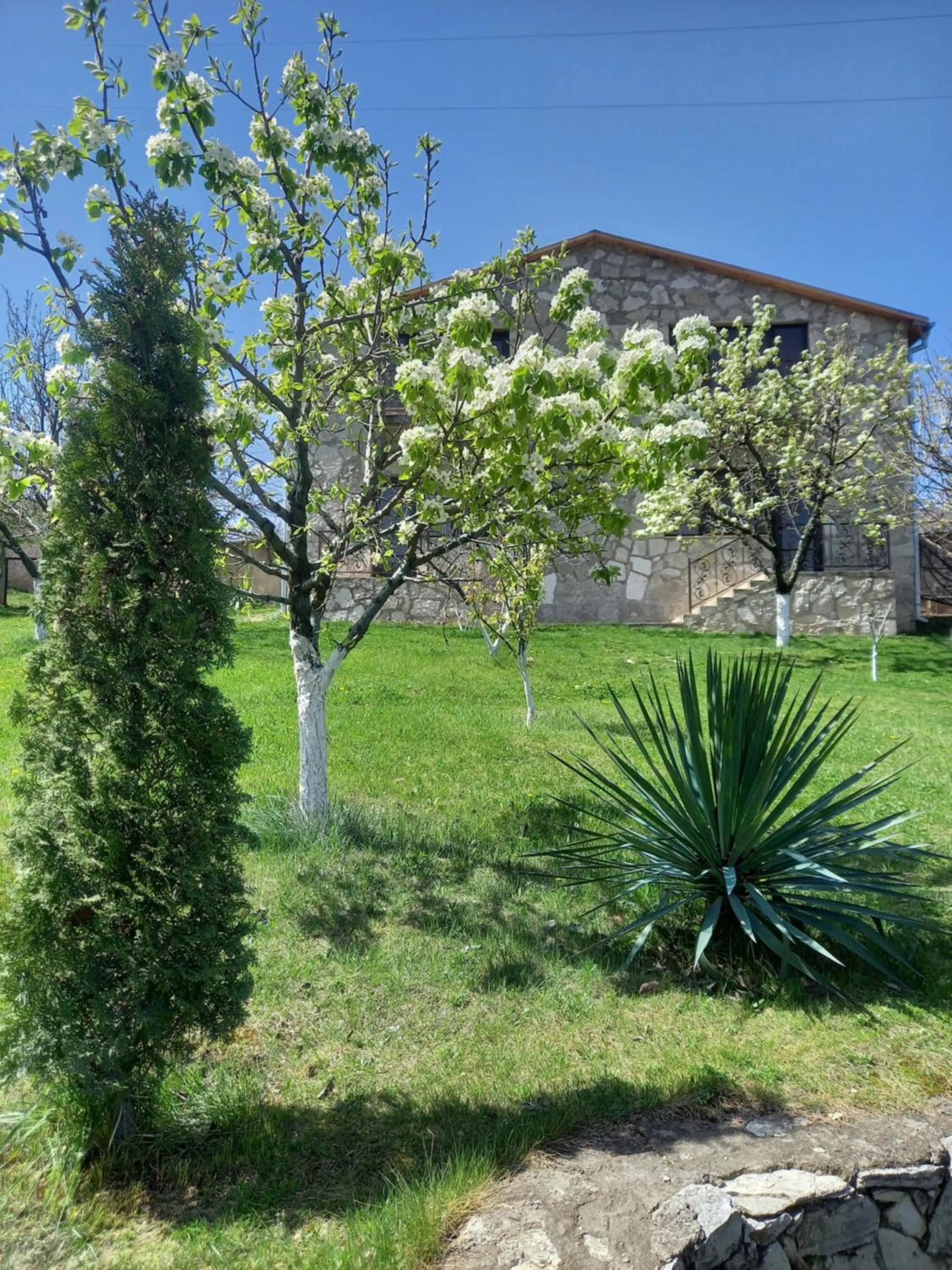 Spring in Guest House Ijevan's Garden