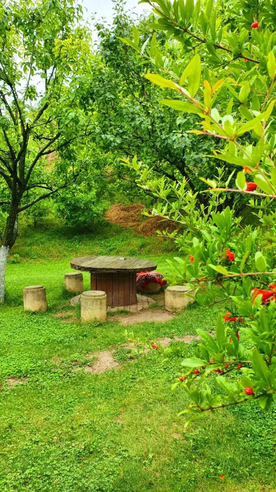 Spring in Guest House Ijevan's Garden