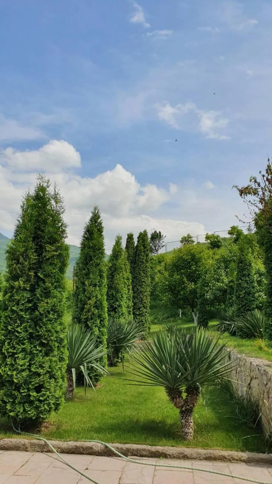 Spring in Guest House Ijevan's Garden