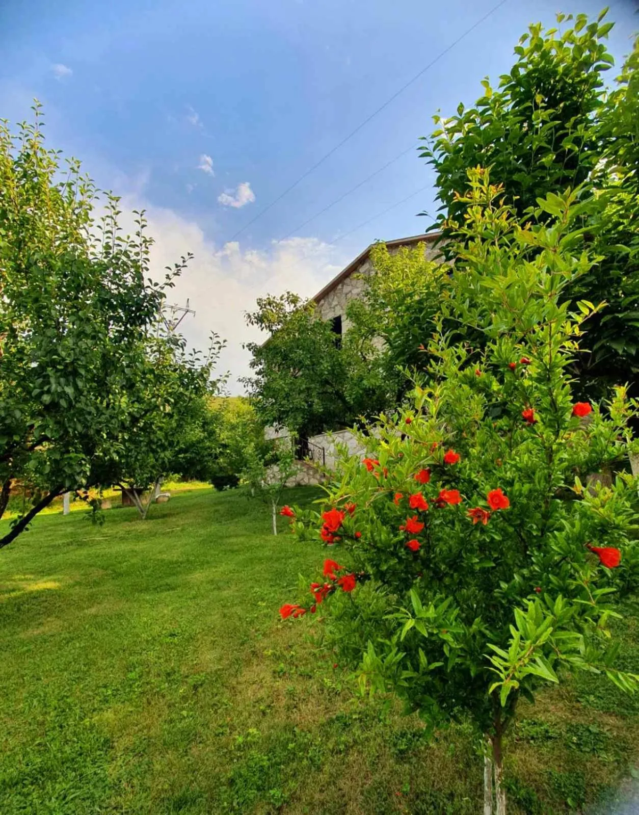 Spring in Guest House Ijevan's Garden