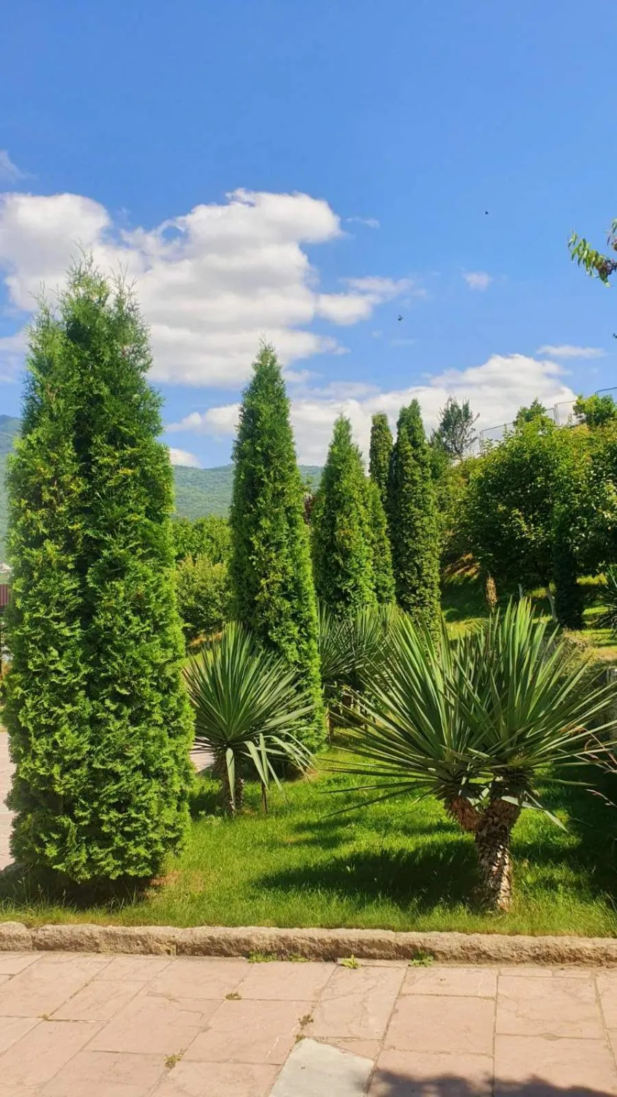 Spring in Guest House Ijevan's Garden