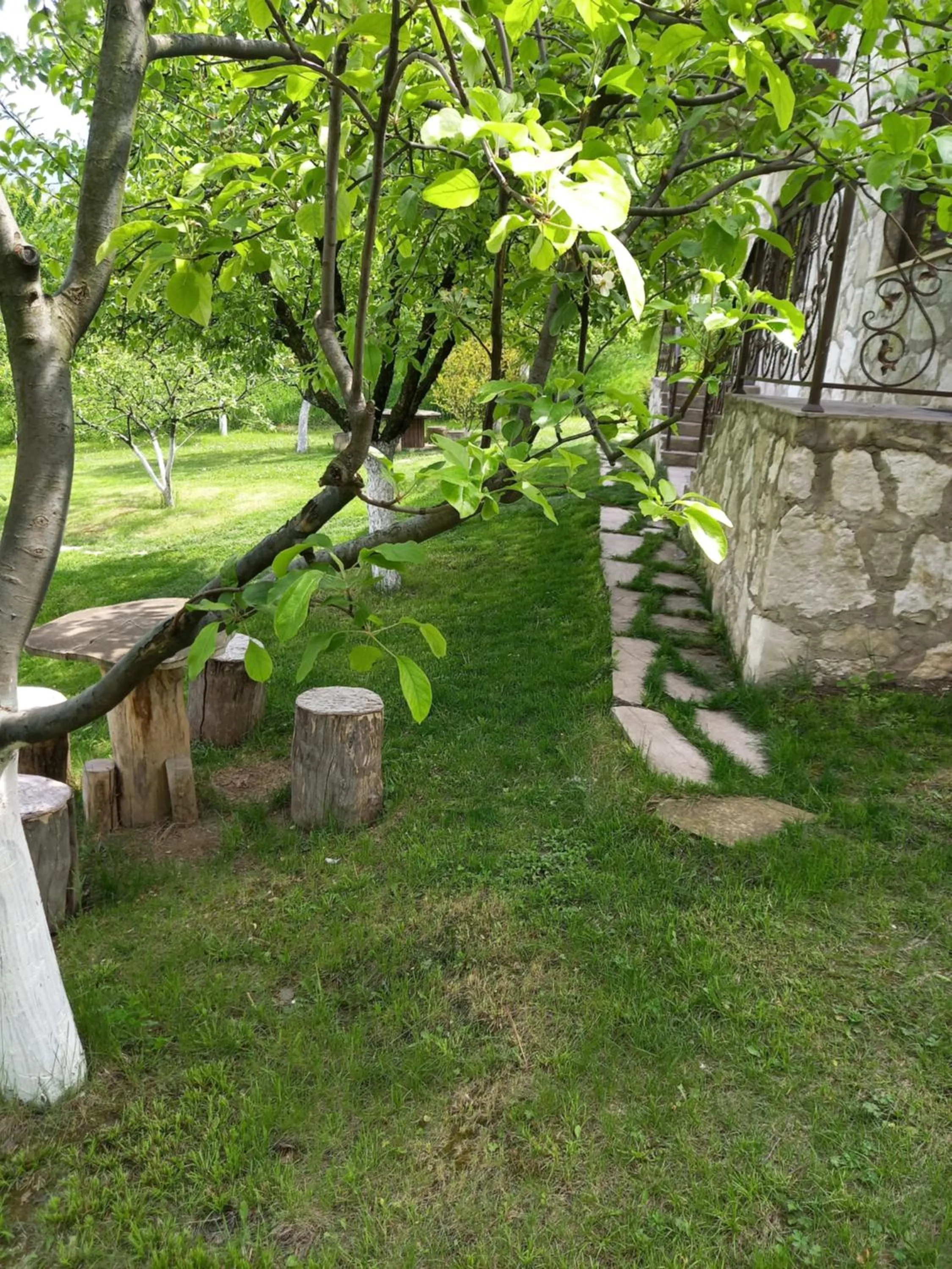 Spring in Guest House Ijevan's Garden
