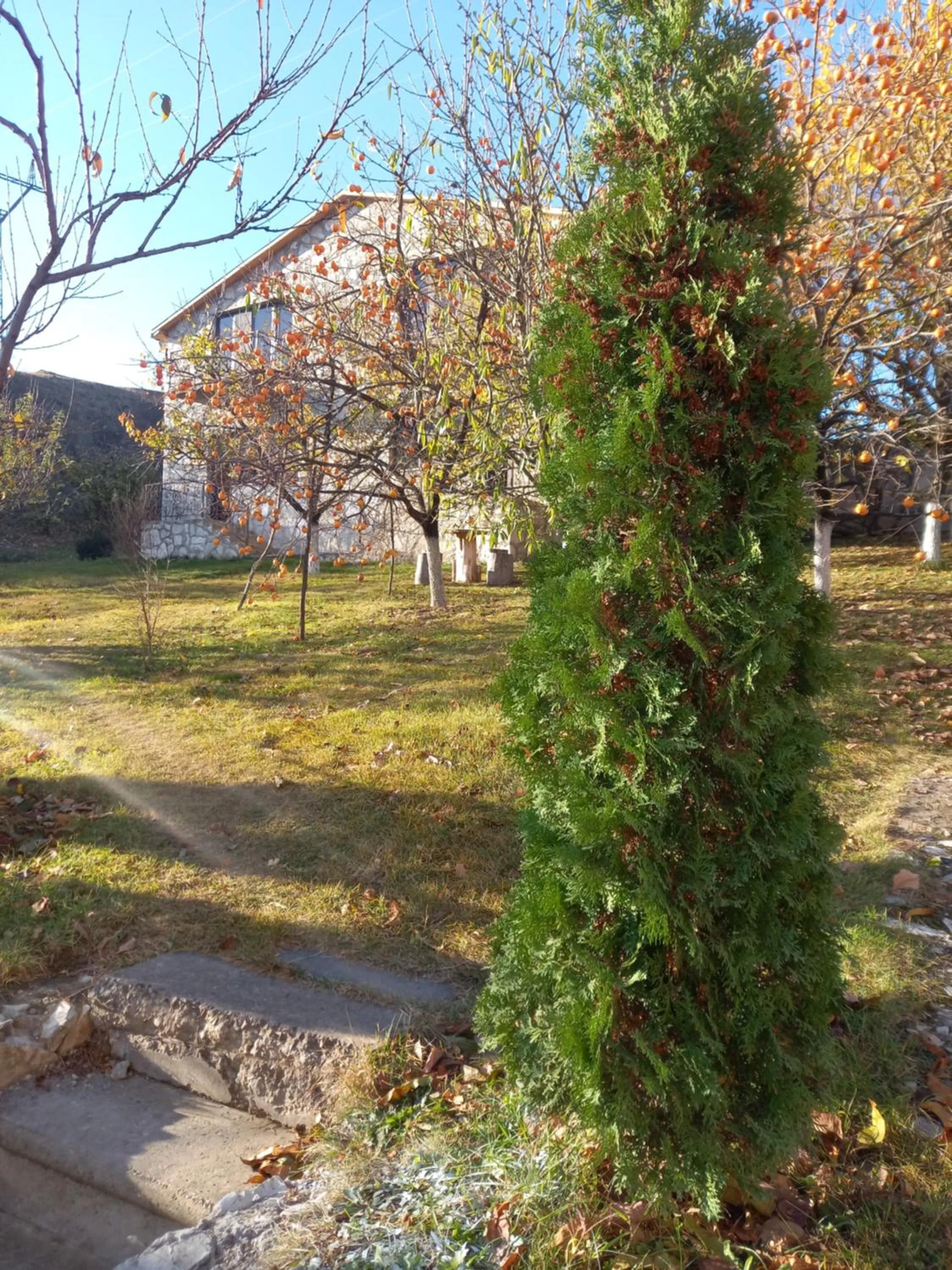 Property building in Guest House Ijevan's Garden