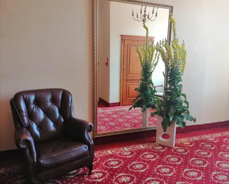Hotel Plock