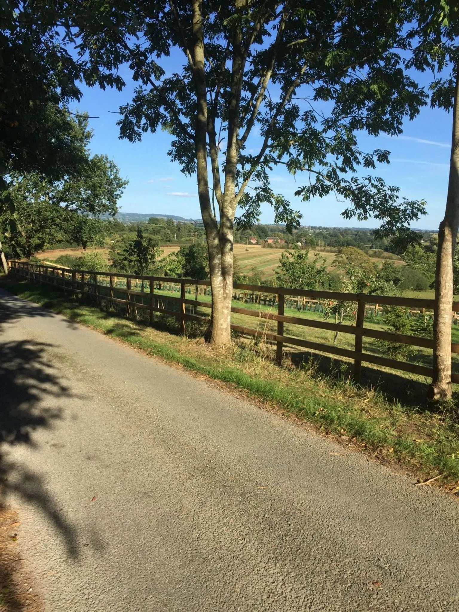 Location in The Cedars Ludlow