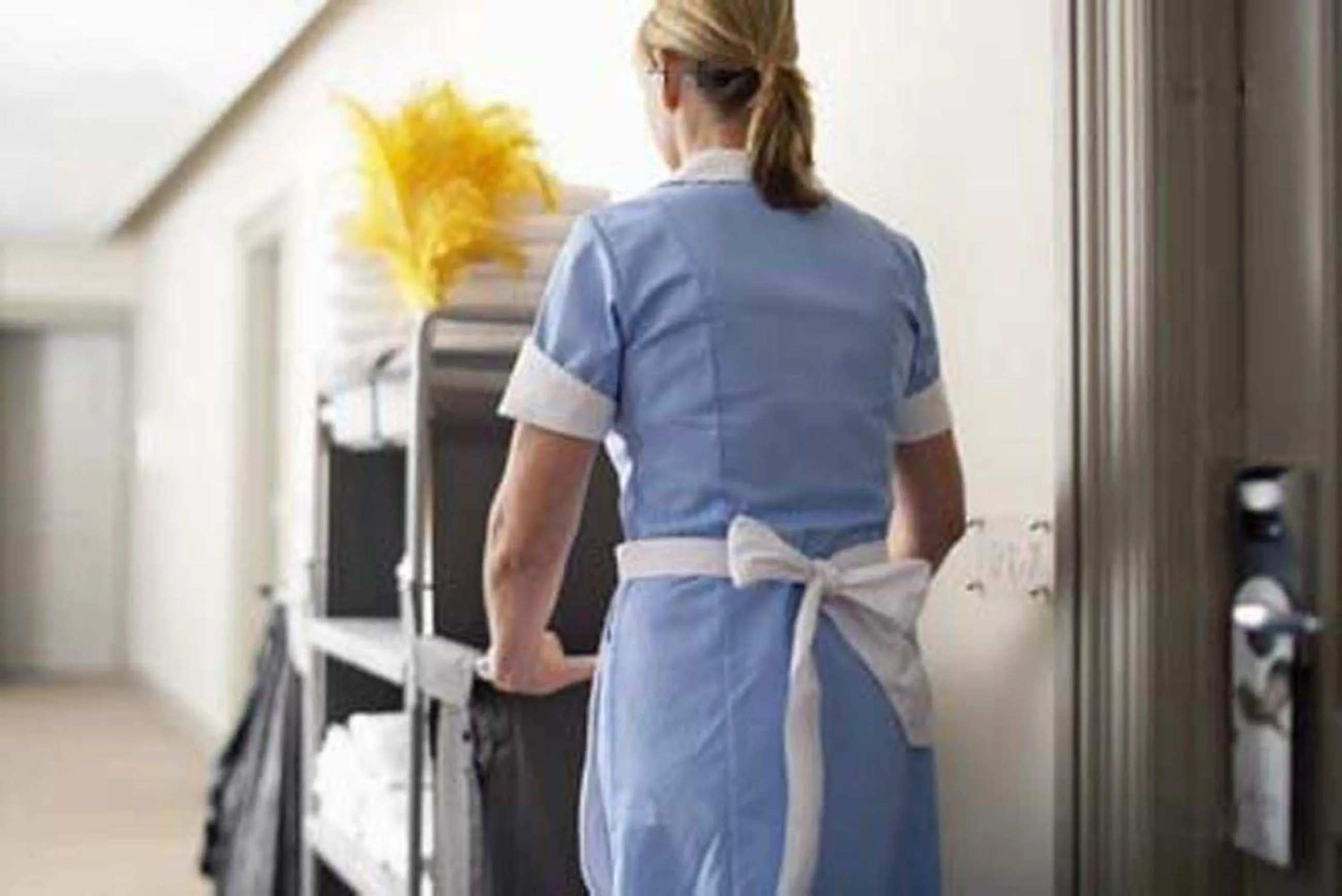 Activities in Alle Torri