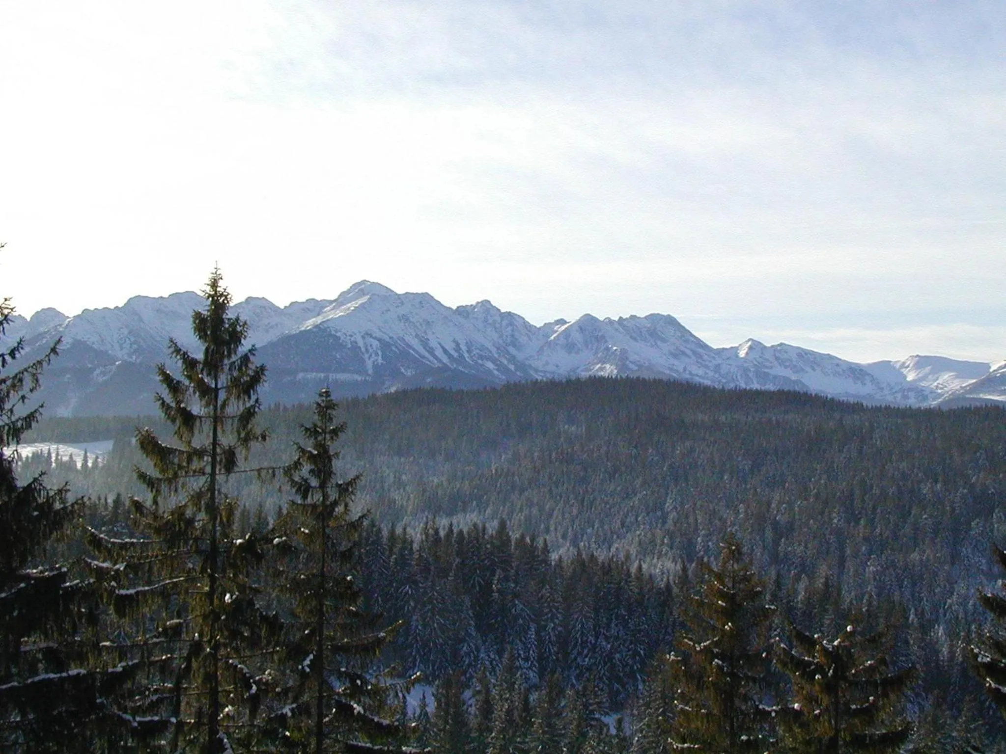 Mountain view in Willa Litka