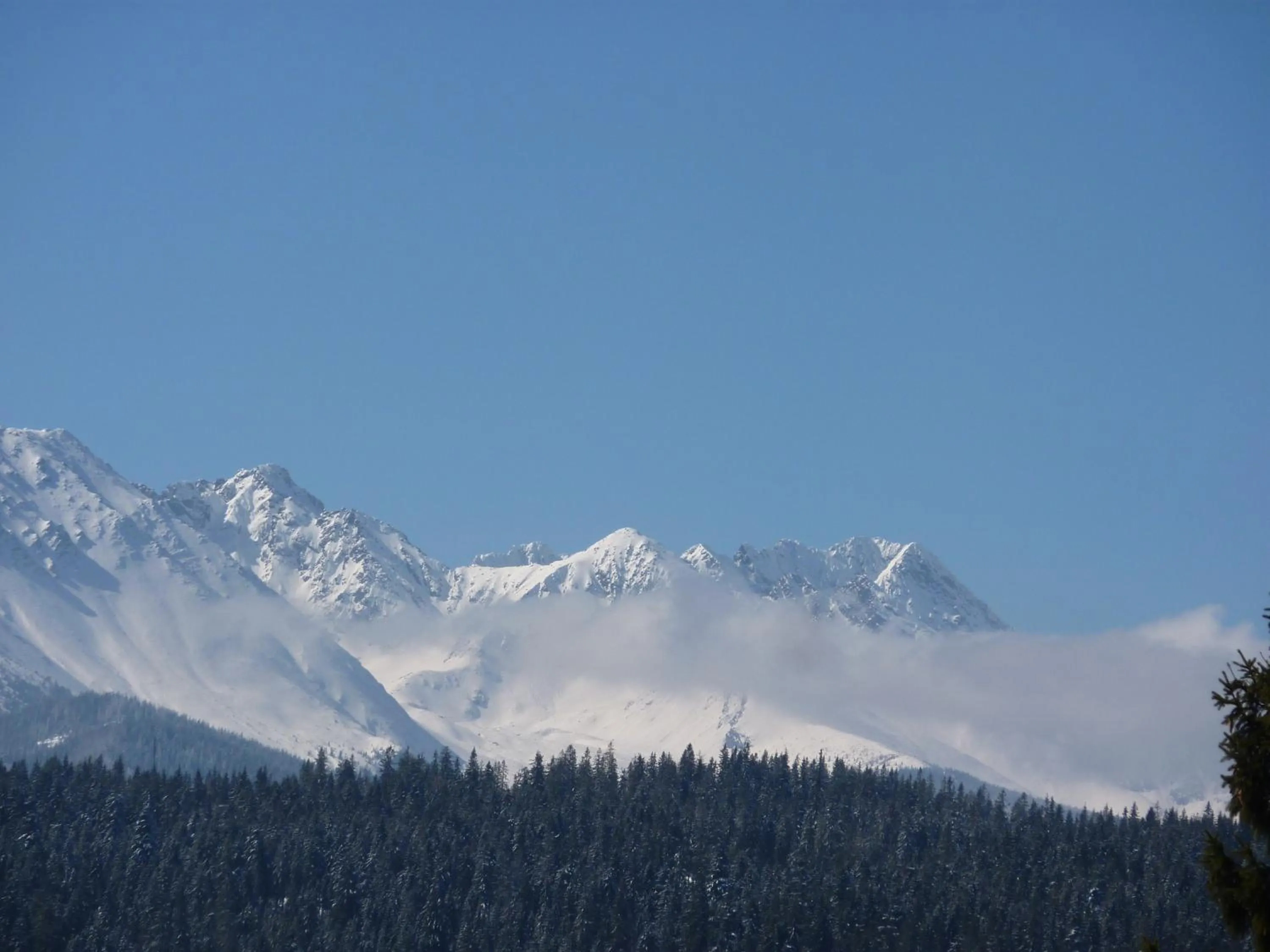 View (from property/room) in Willa Litka