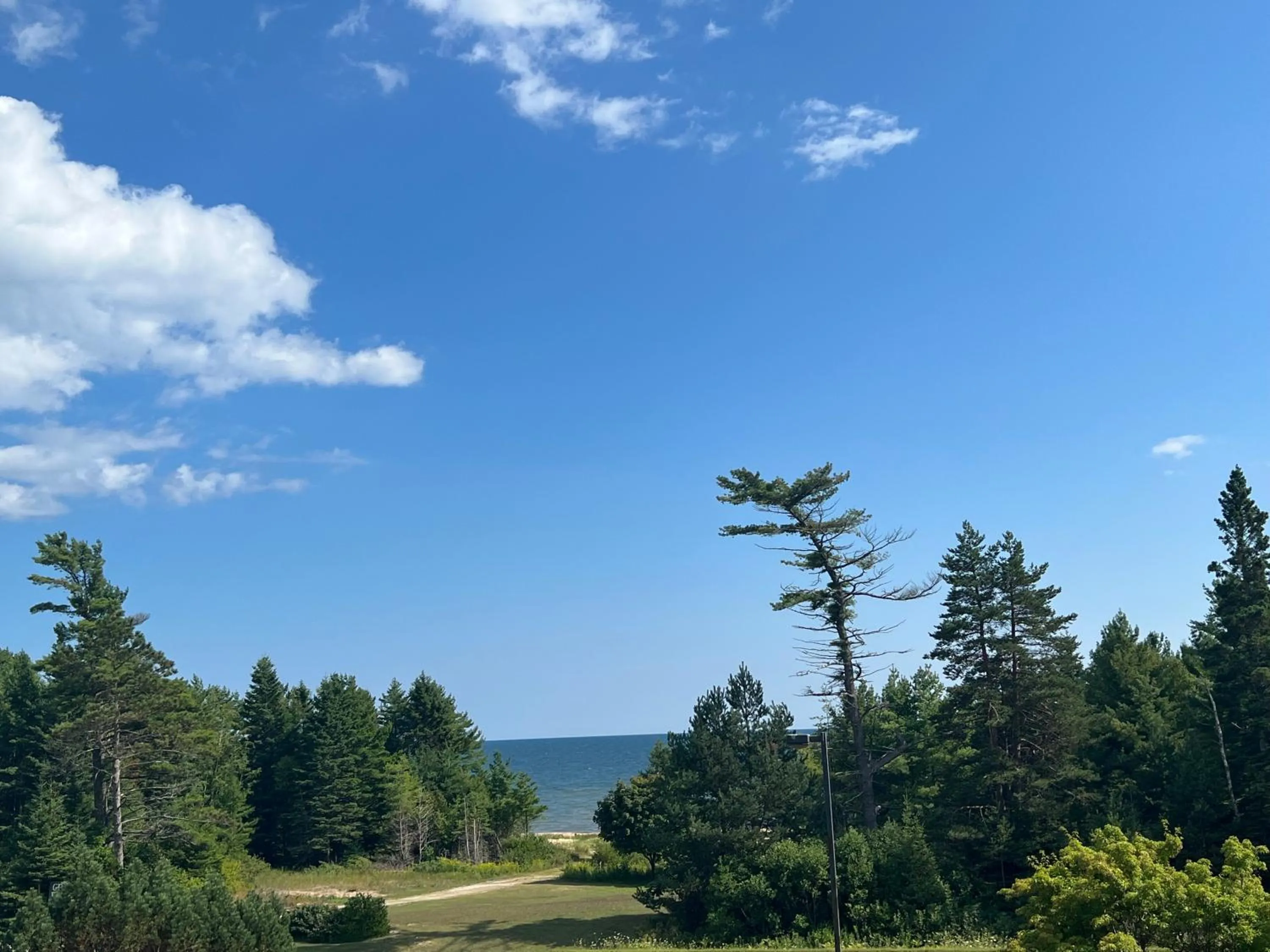 Natural landscape in Gray Wolf Lodge