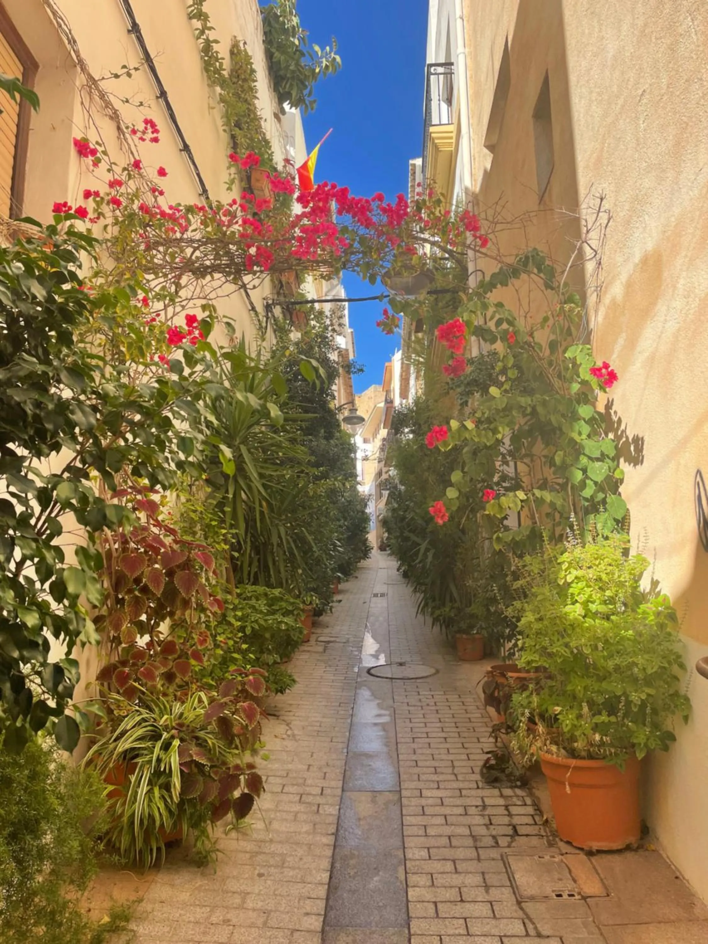 Neighbourhood in apartment nearby beach and old town Javea