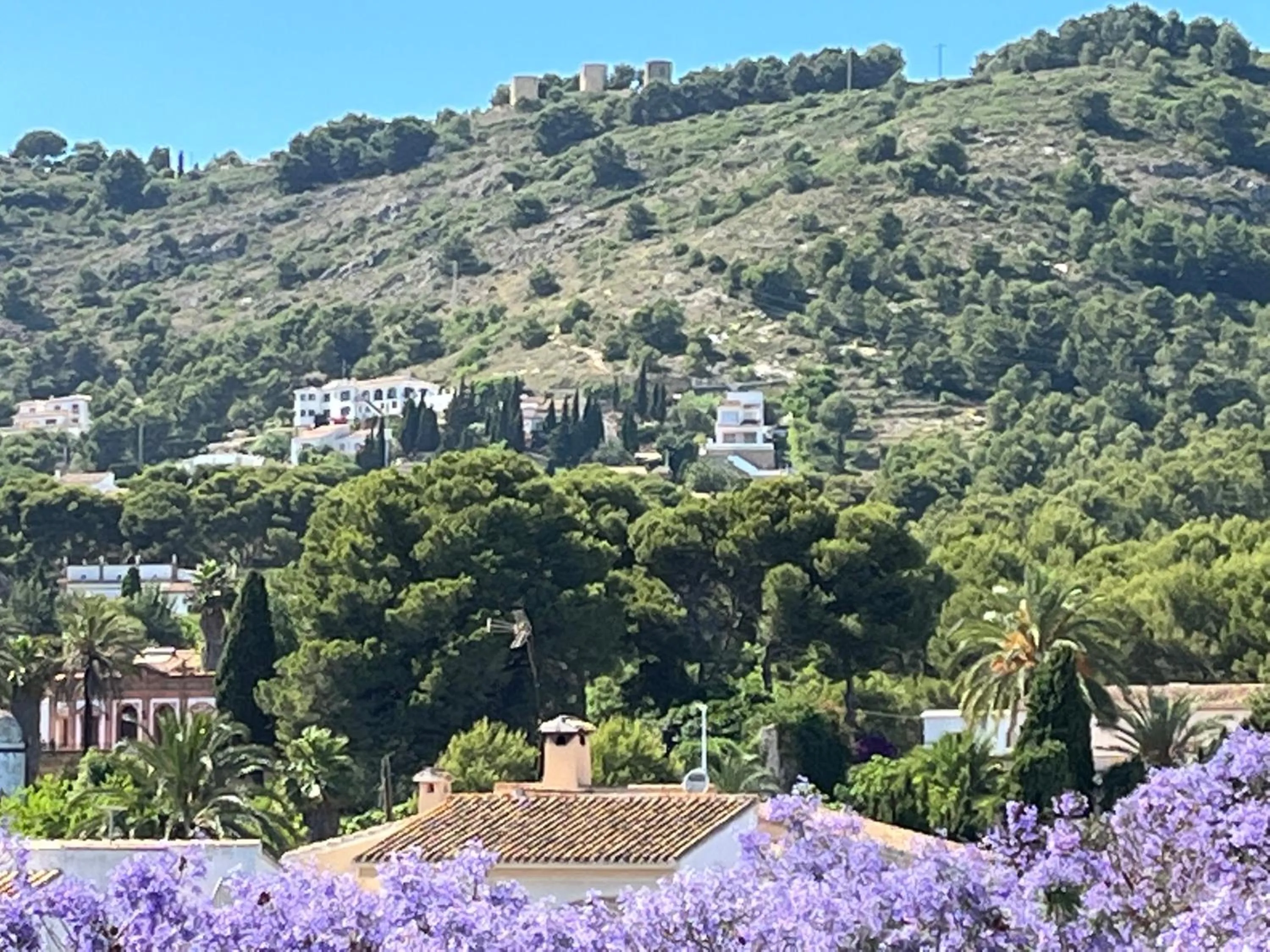 Natural landscape in apartment nearby beach and old town Javea