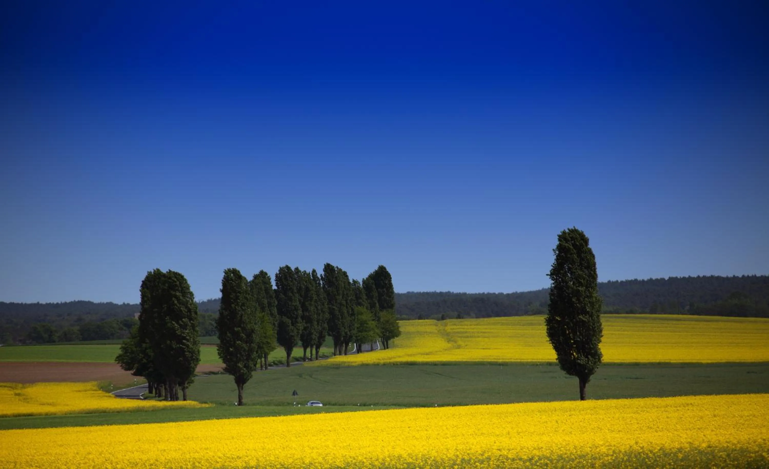 Nearby landmark in Santa Caterina Hotel & Bike