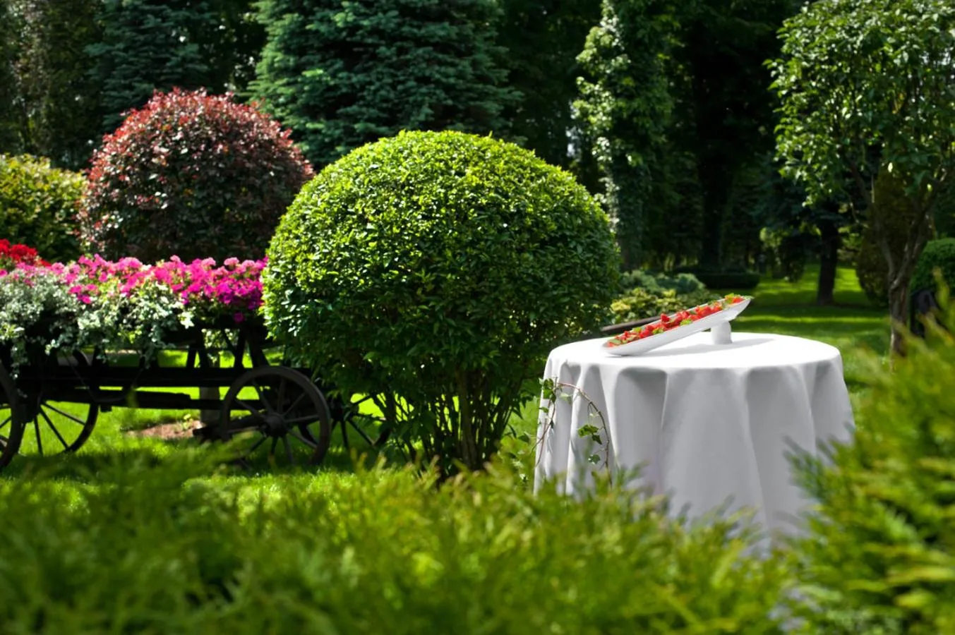 Garden in Booking Hotel & Spa