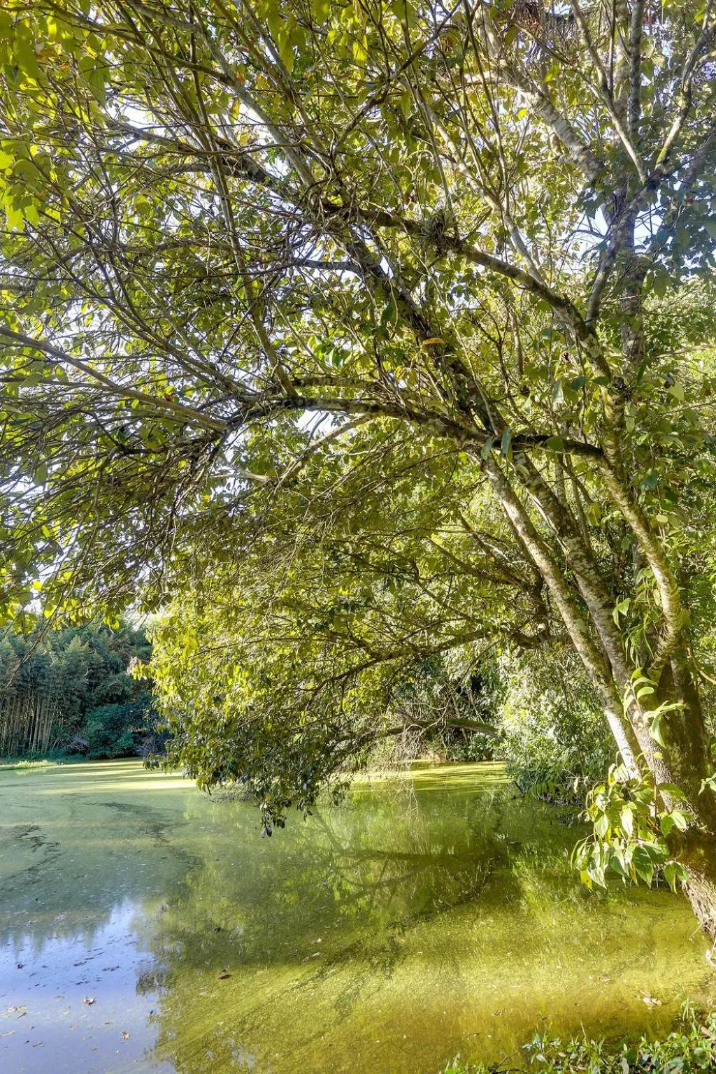 Natural landscape in Pousada Trem Chic