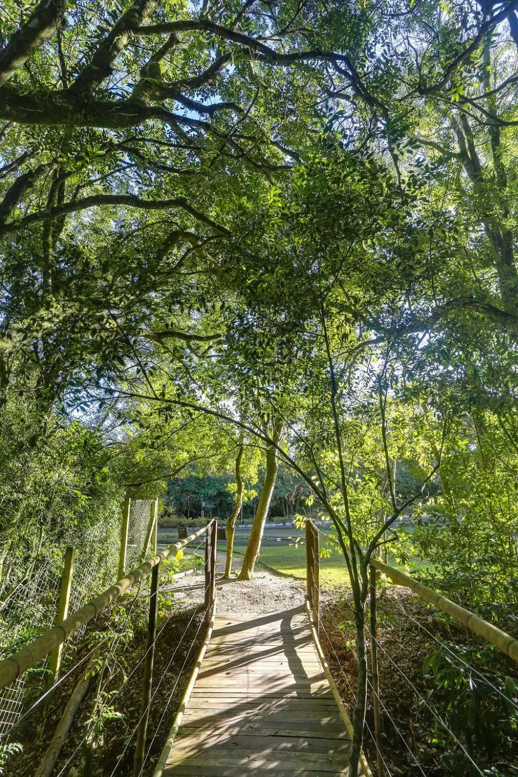 Natural landscape in Pousada Trem Chic