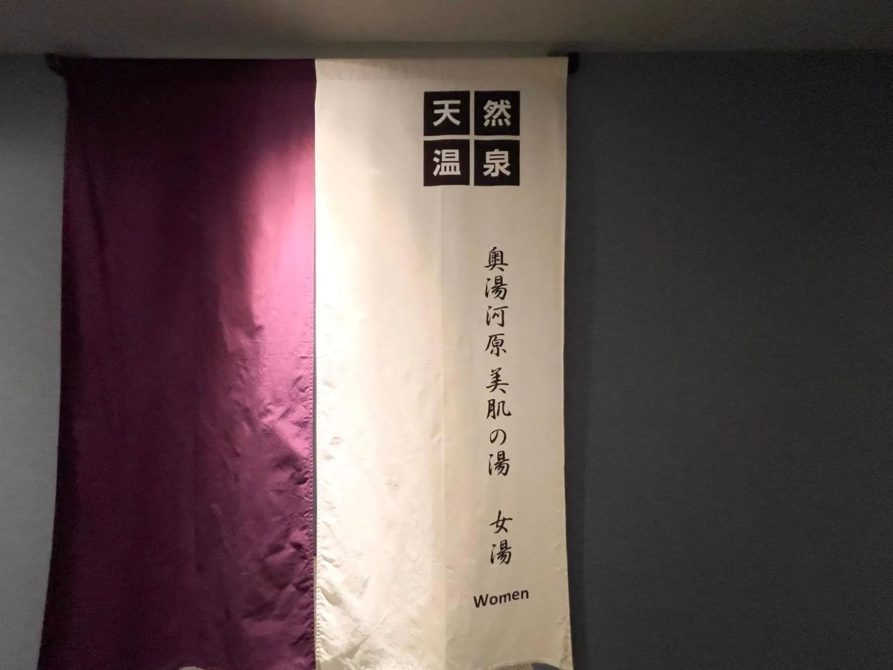 Hot Spring Bath in Super Hotel Premier Ikebukuro Natural Hot Spring