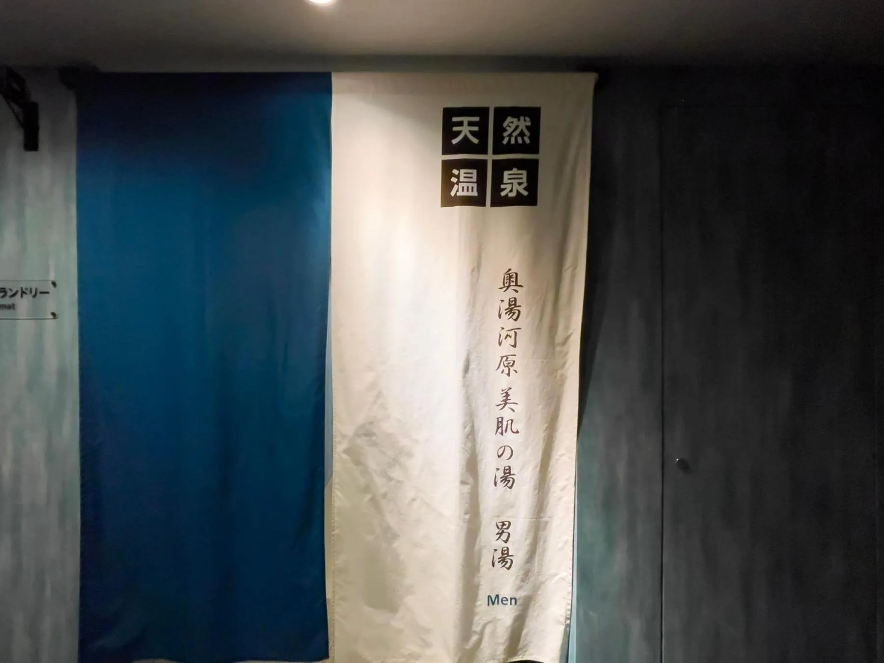 Hot Spring Bath in Super Hotel Premier Ikebukuro Natural Hot Spring