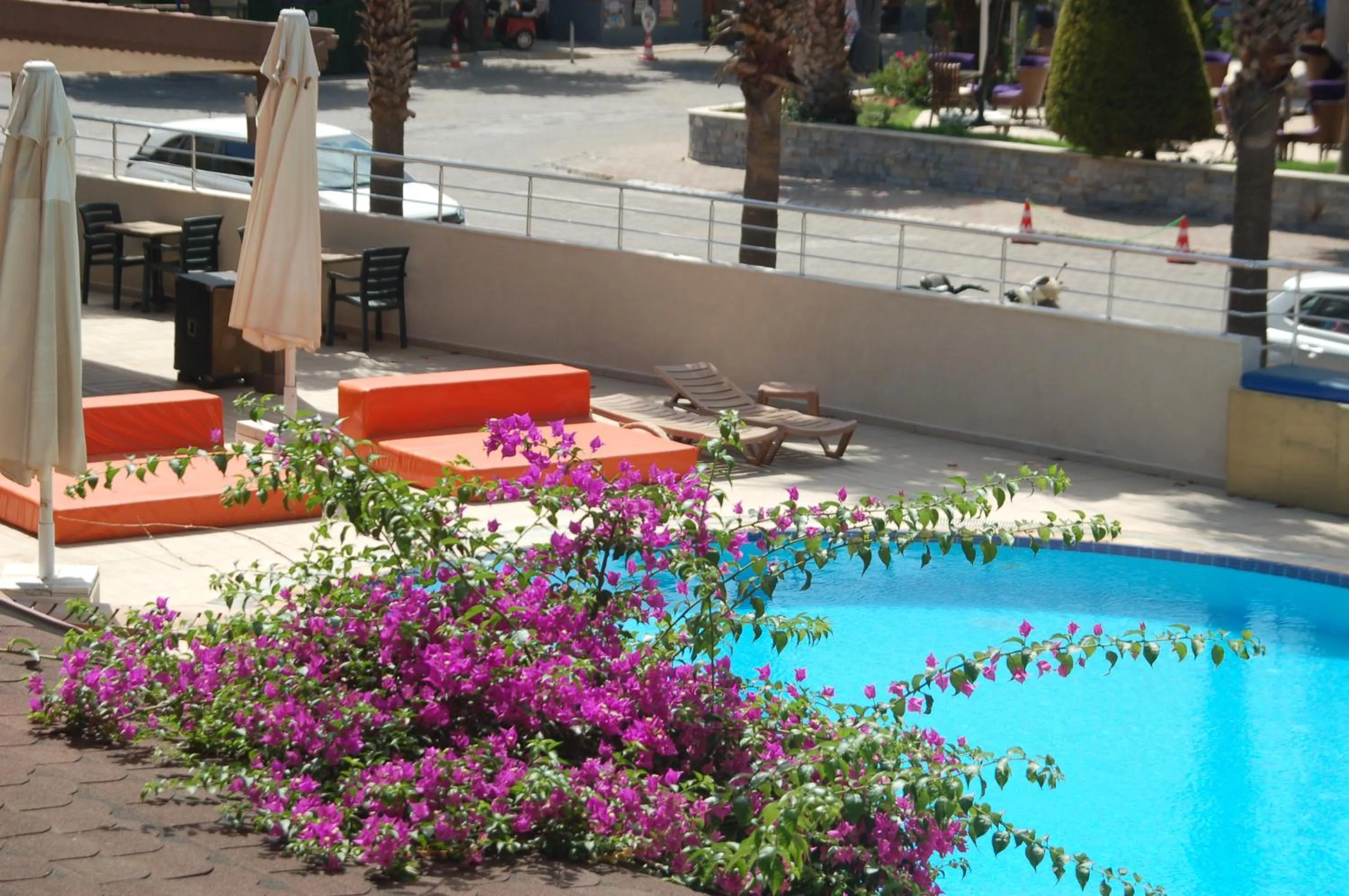Swimming pool in Astoria Beach Hotel