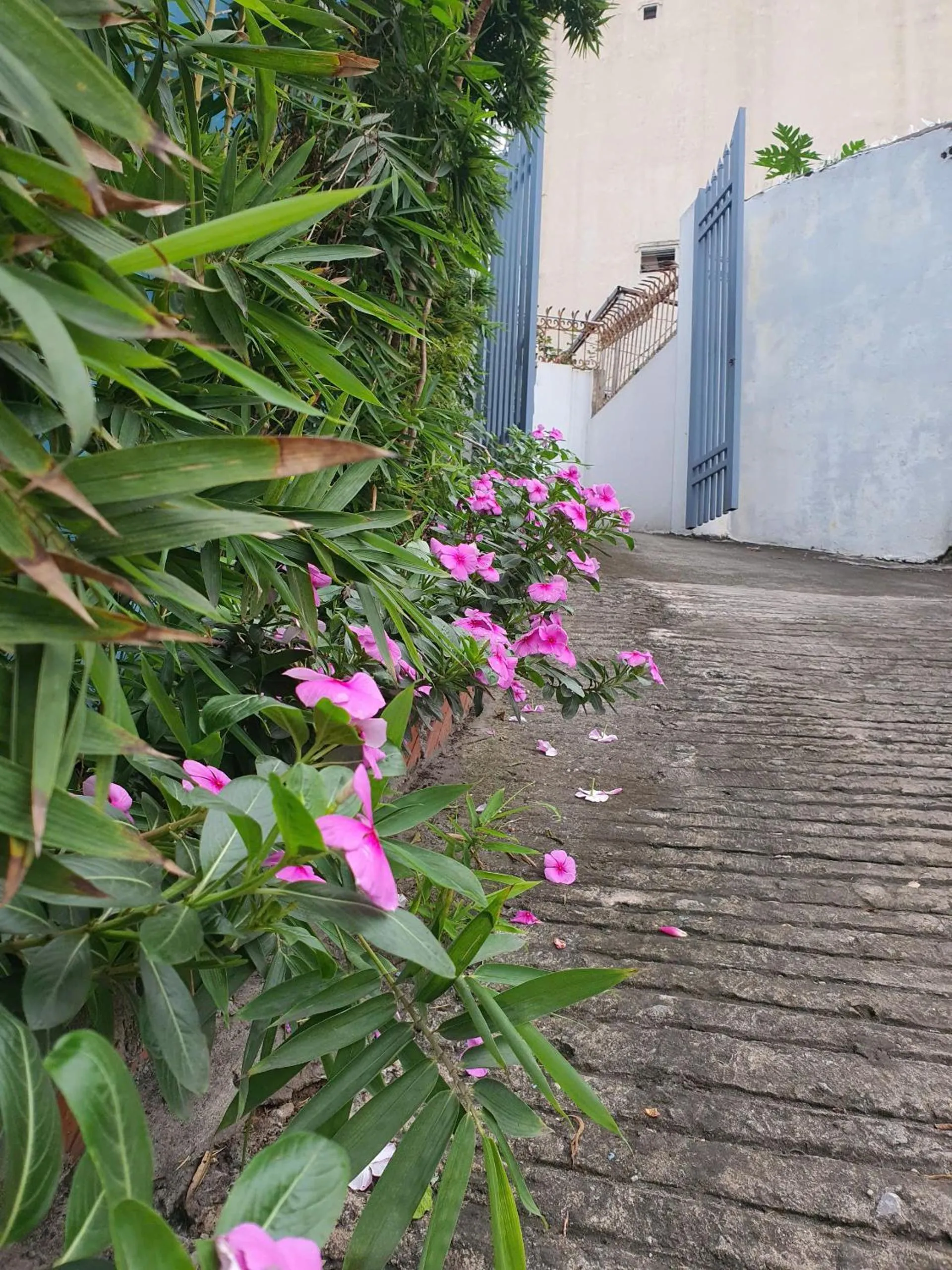 Nha Xanh Ha Long Homestay