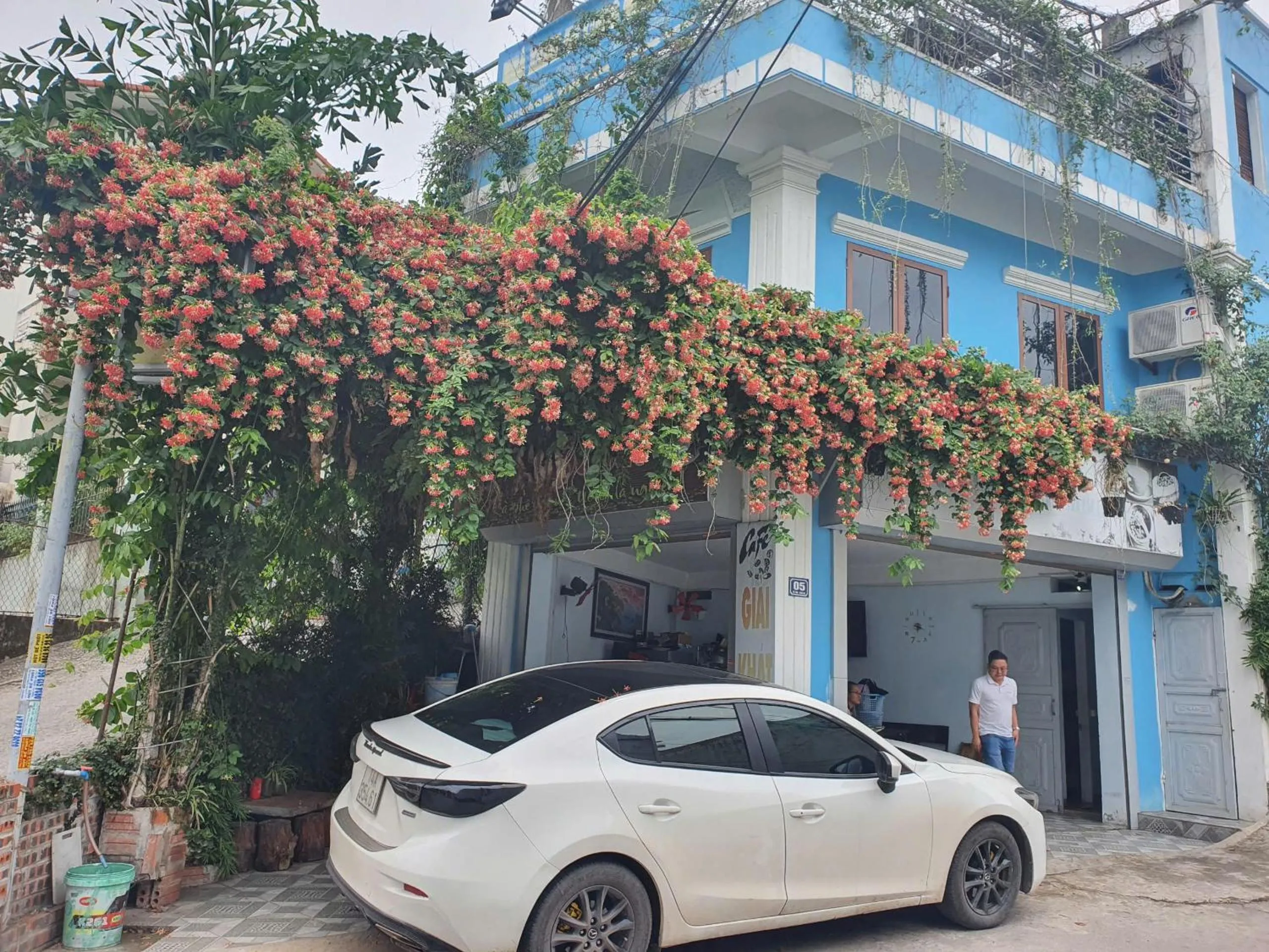 Nha Xanh Ha Long Homestay