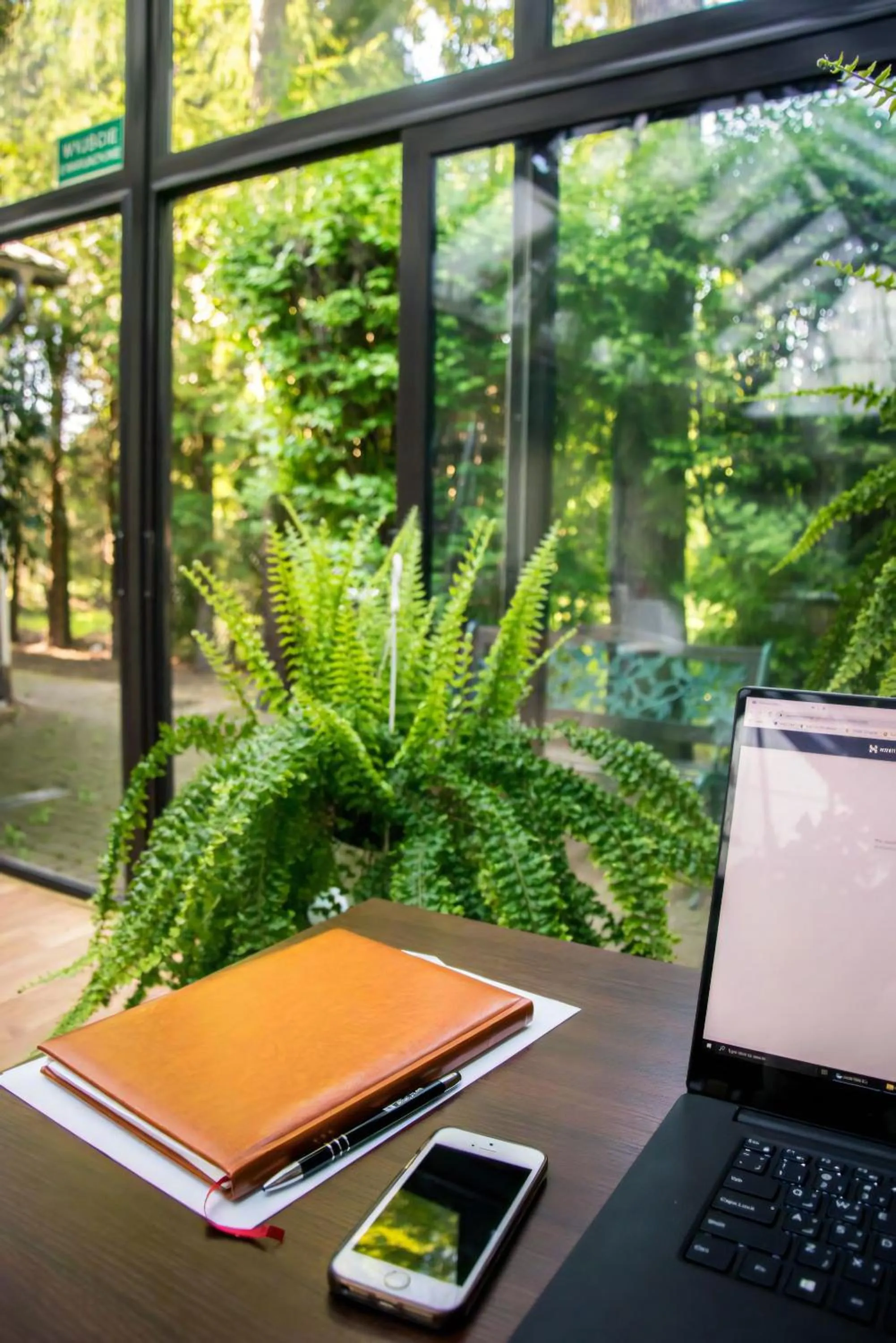 Patio in Hotel Leopolis