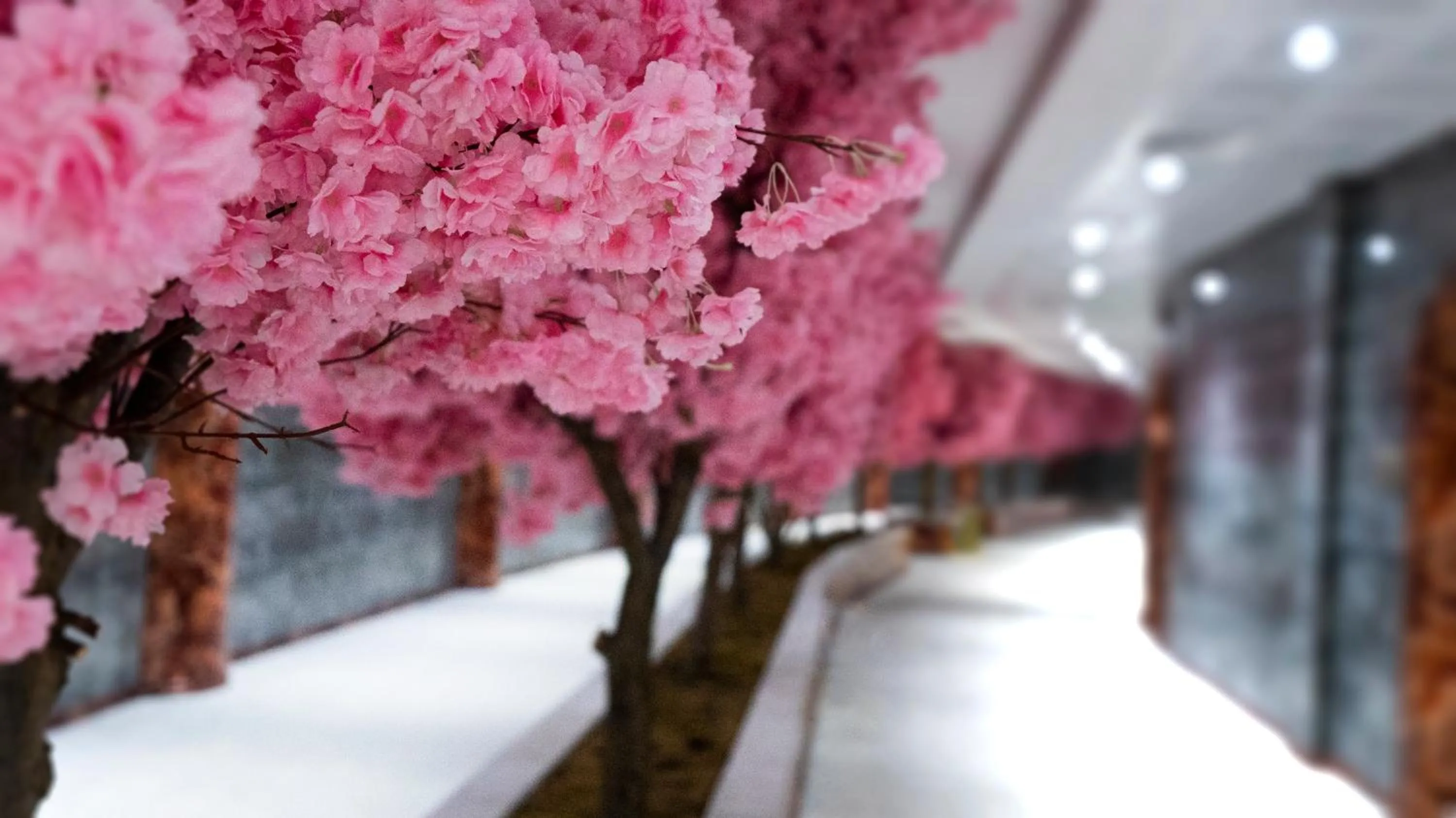 View (from property/room) in Sarot Thermal Palace Tatil Köyü - Halal Hotel