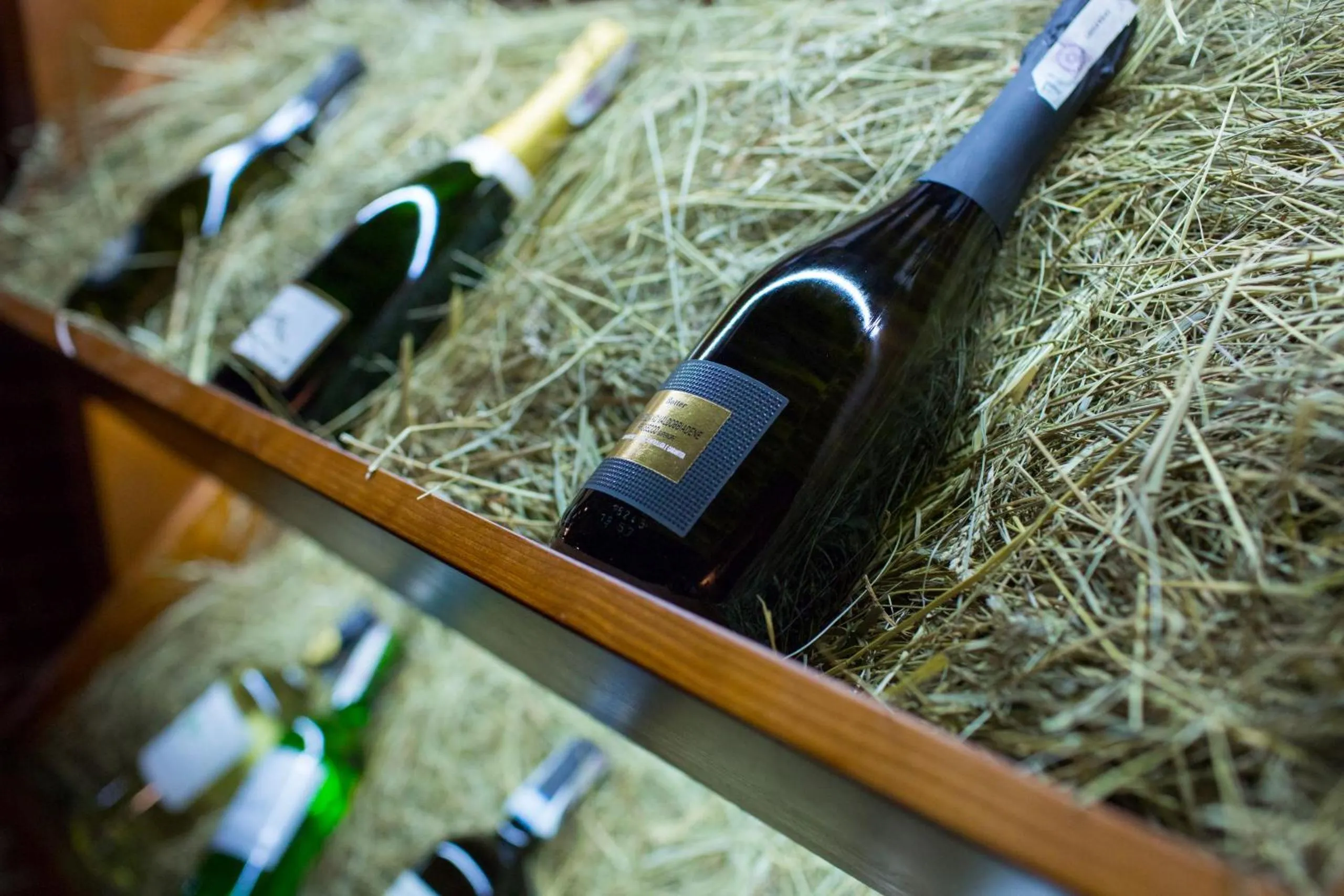 Lounge or bar in Hotel Europa