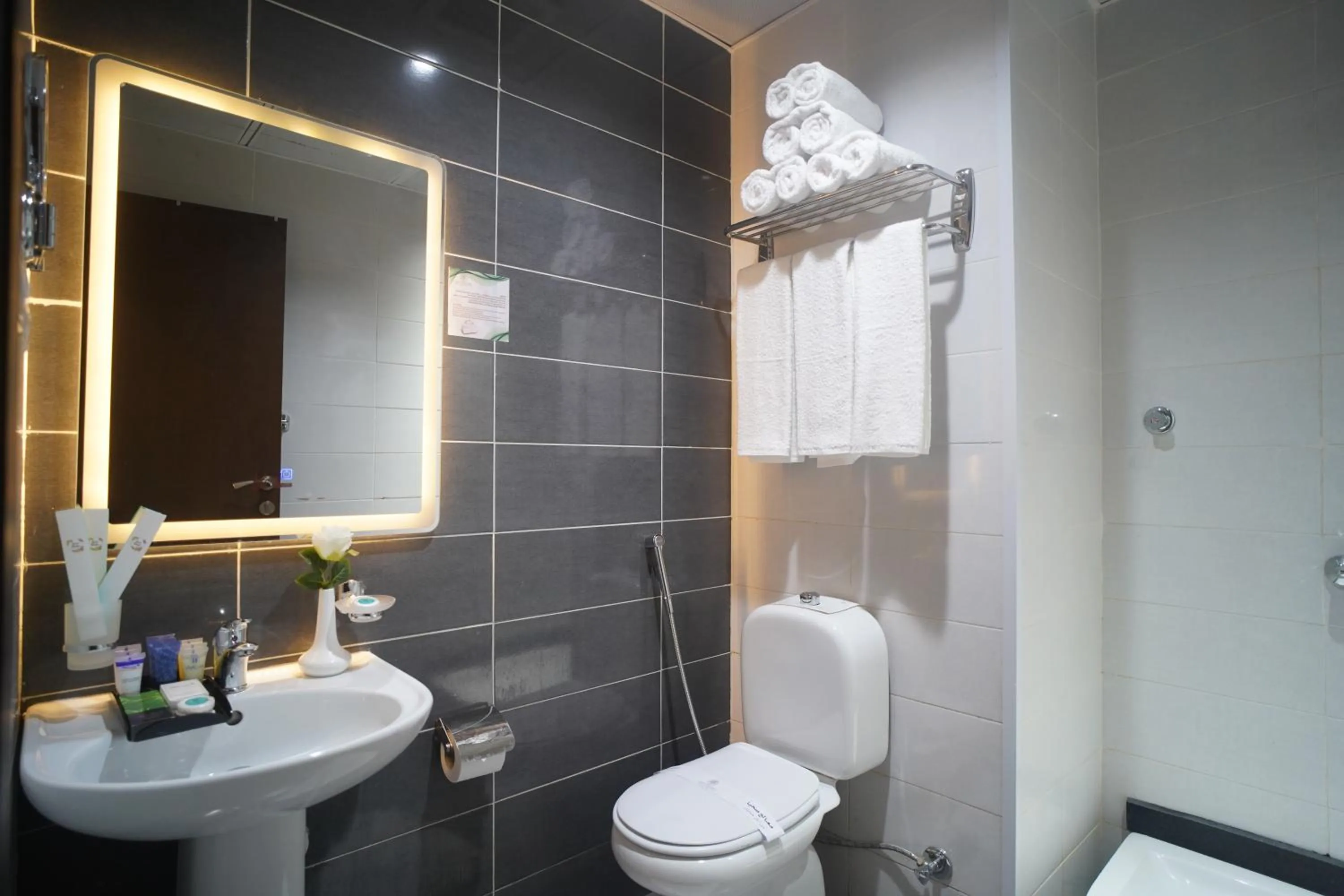 Shower in Emaar Andalusia