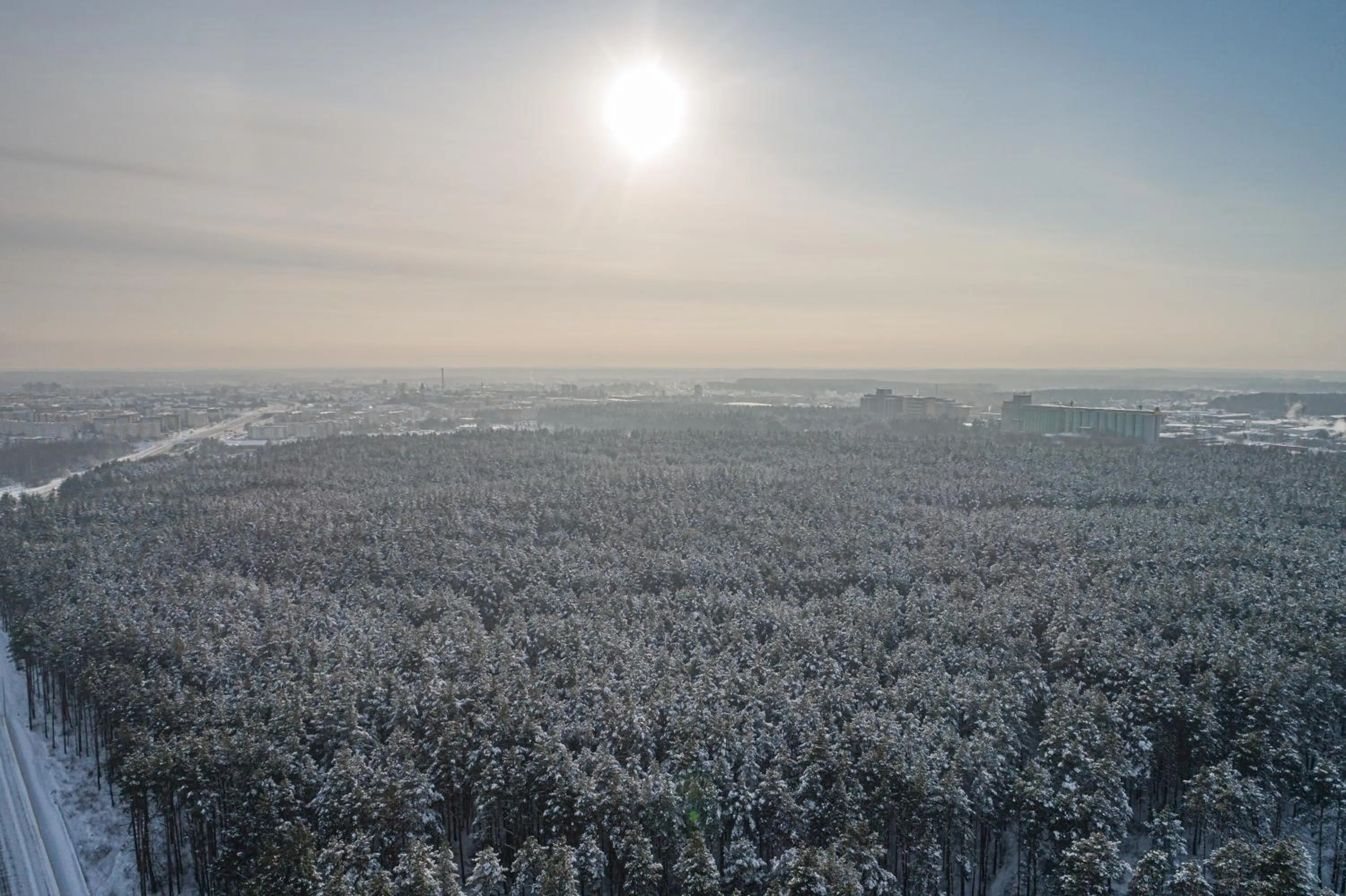 Winter in Hotel Leśny