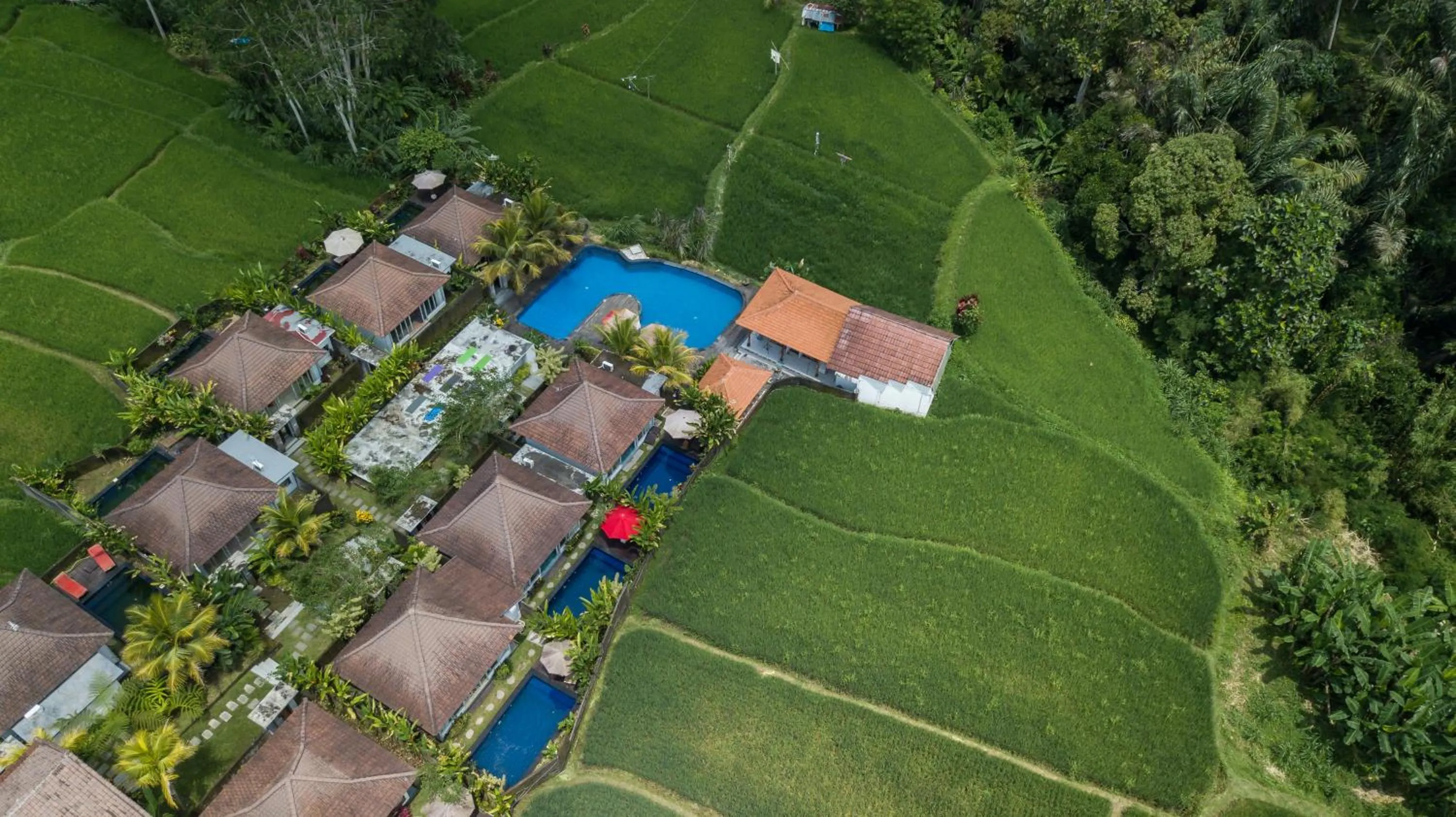 Bird's eye view in Tanta Escape