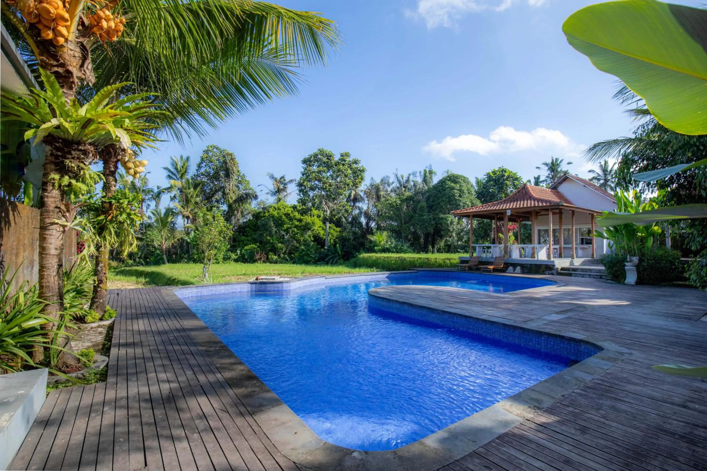 Property building in Tanta Escape