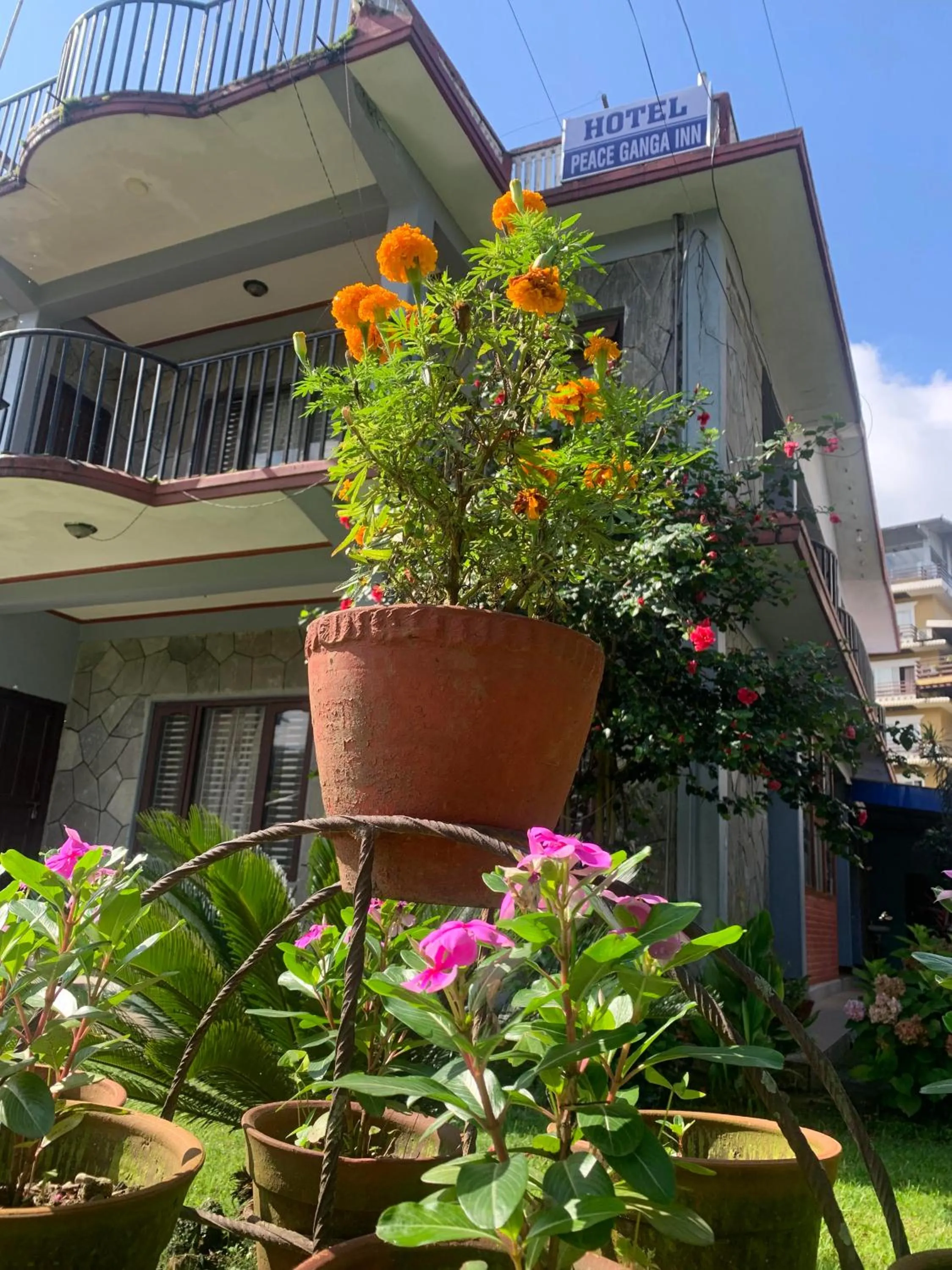 Property building in Hotel Peace Ganga Inn
