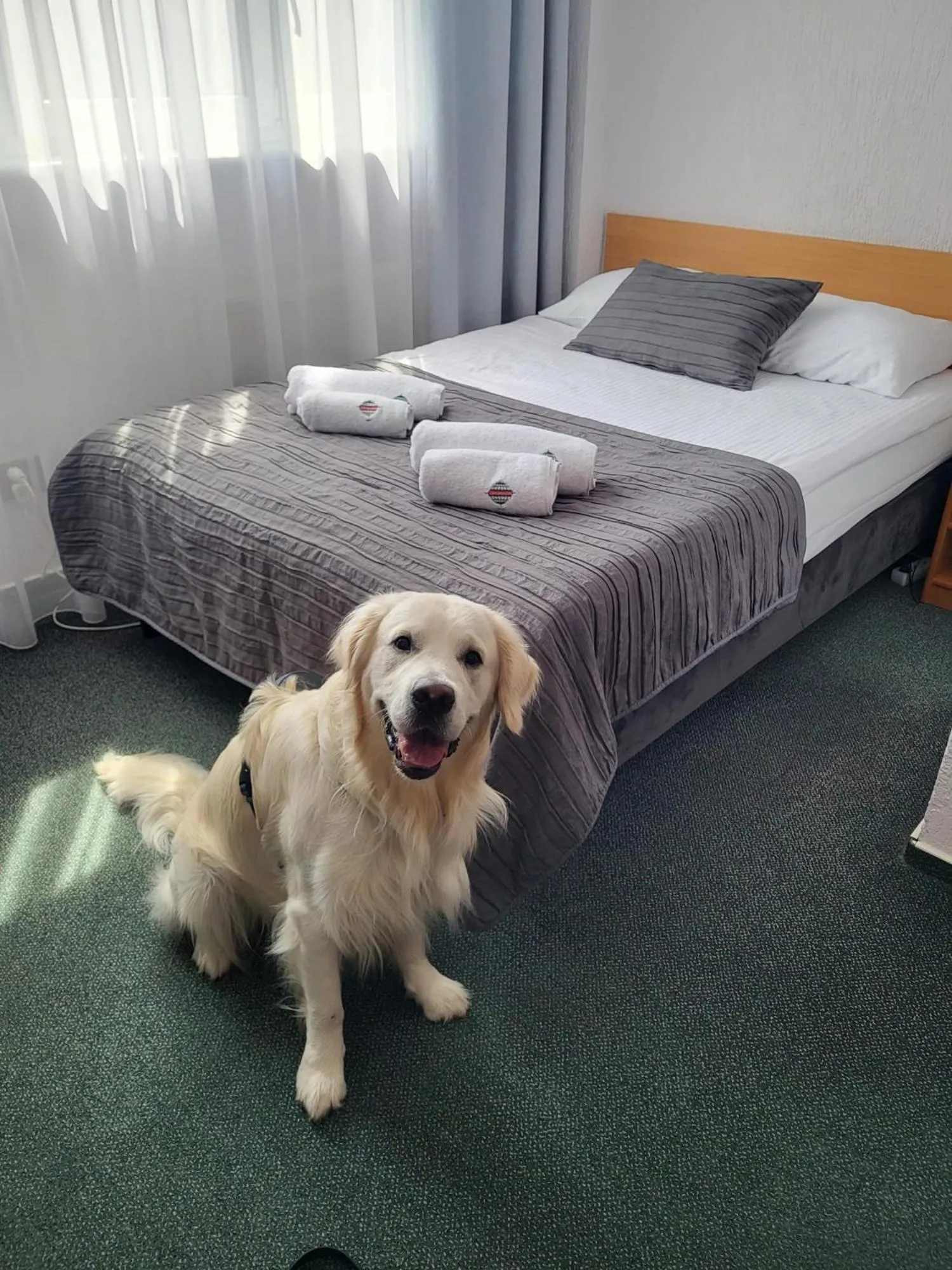 Bed in Hotel Gromada Poznań