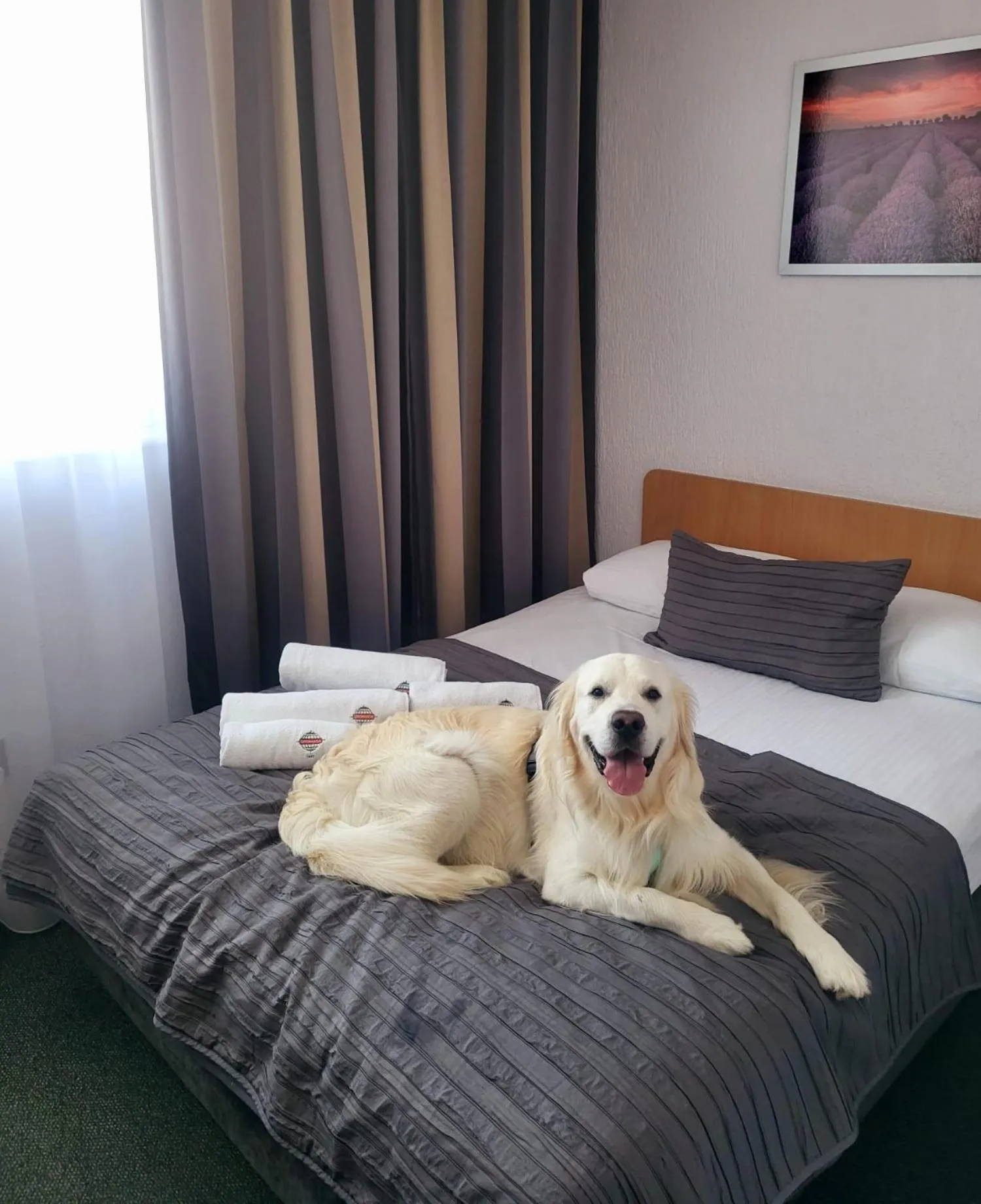 Bed in Hotel Gromada Poznań