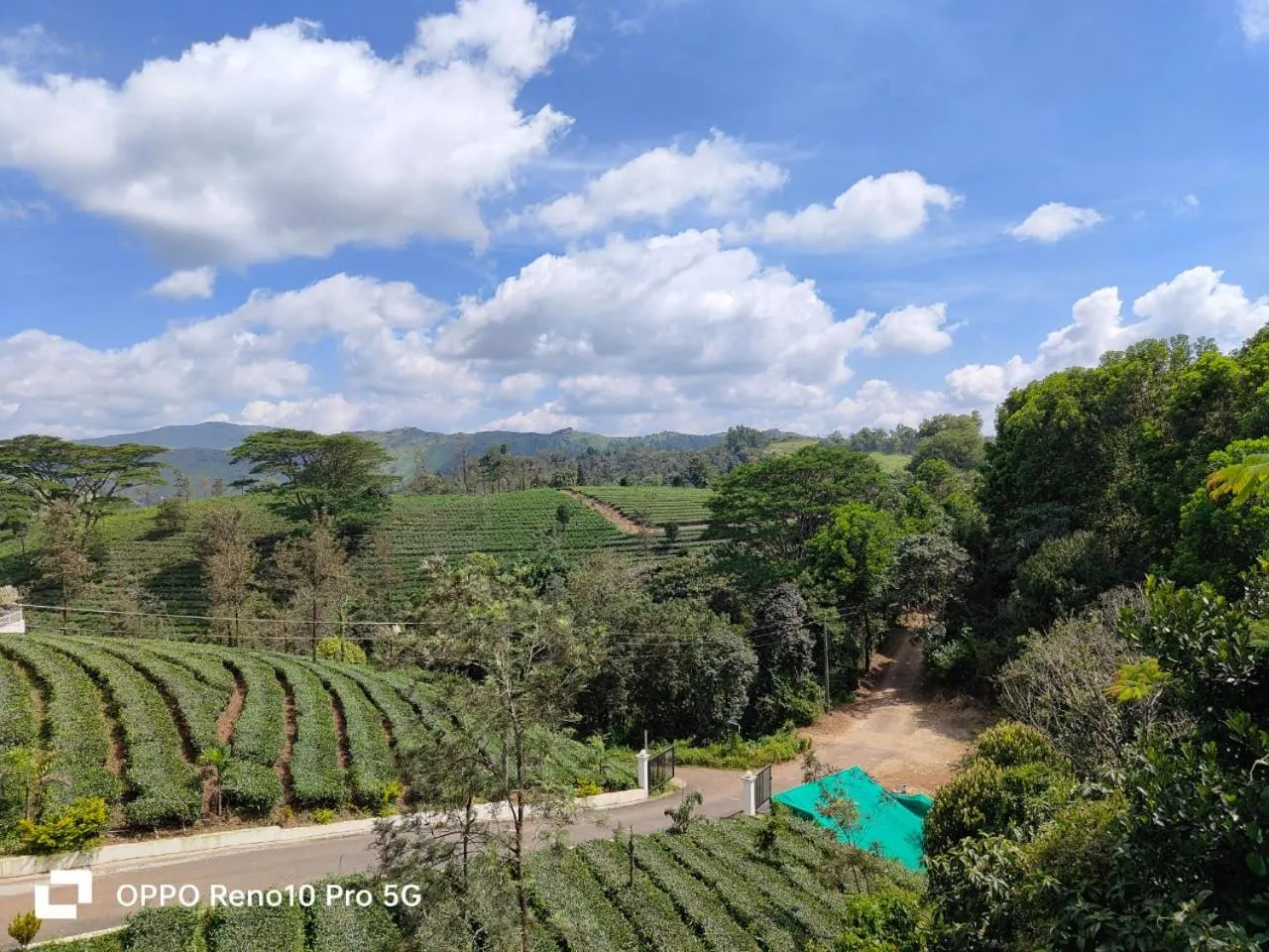 Natural landscape in Pine Clough Resort Vagamon